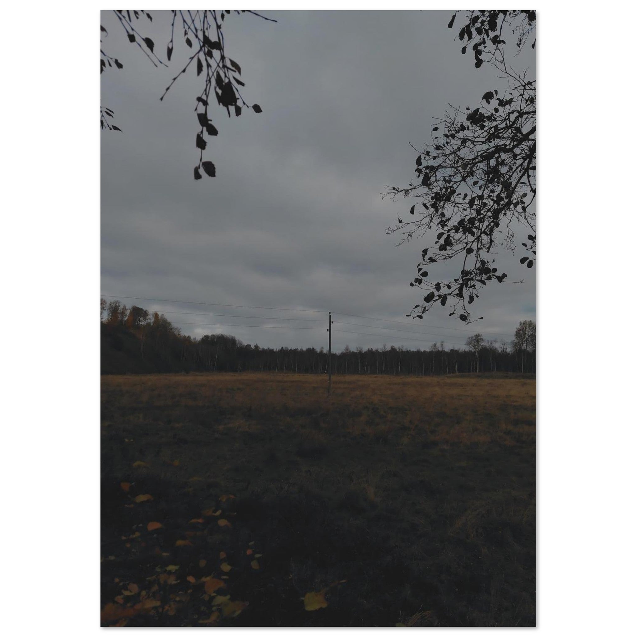 06847c92-dd1e-4f7a-a3a7-78a9c2b33da3