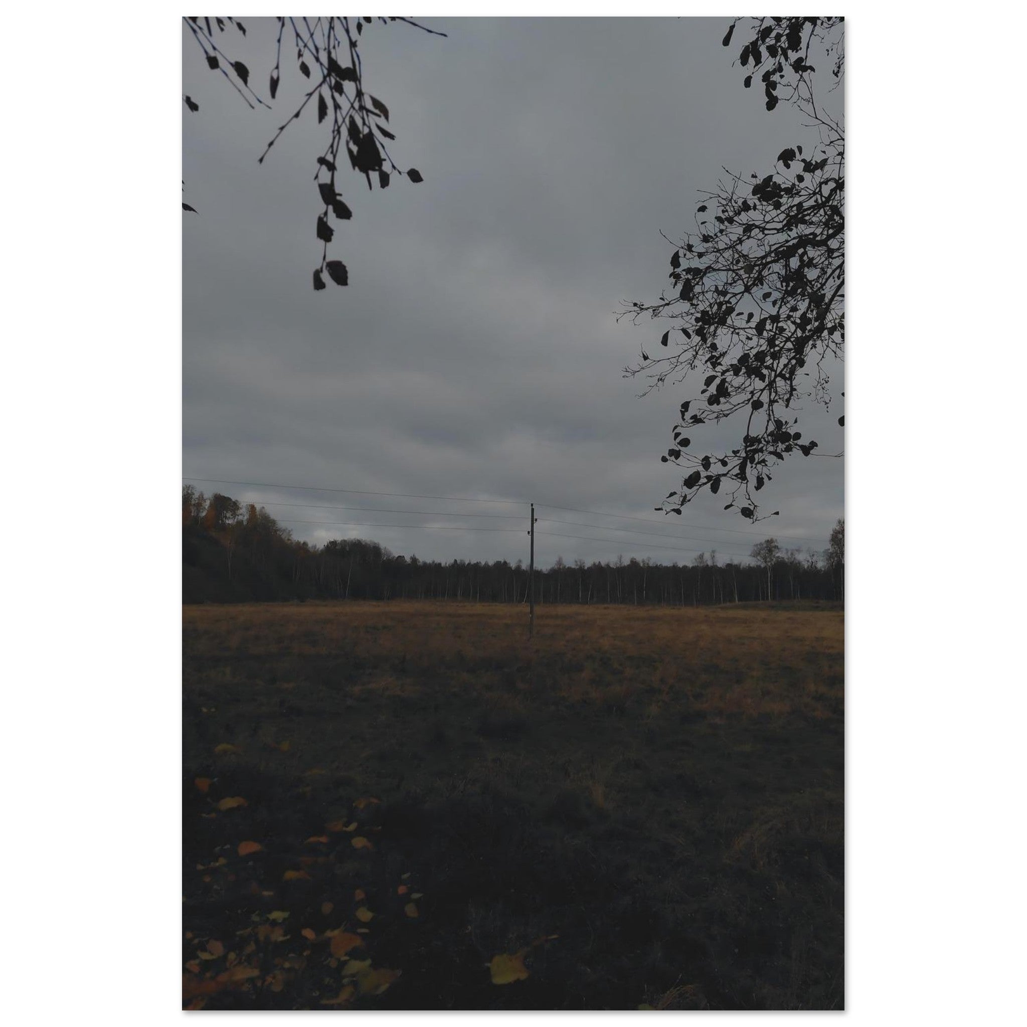 07b7c538-9c5e-42ca-8a21-b84ead15059f