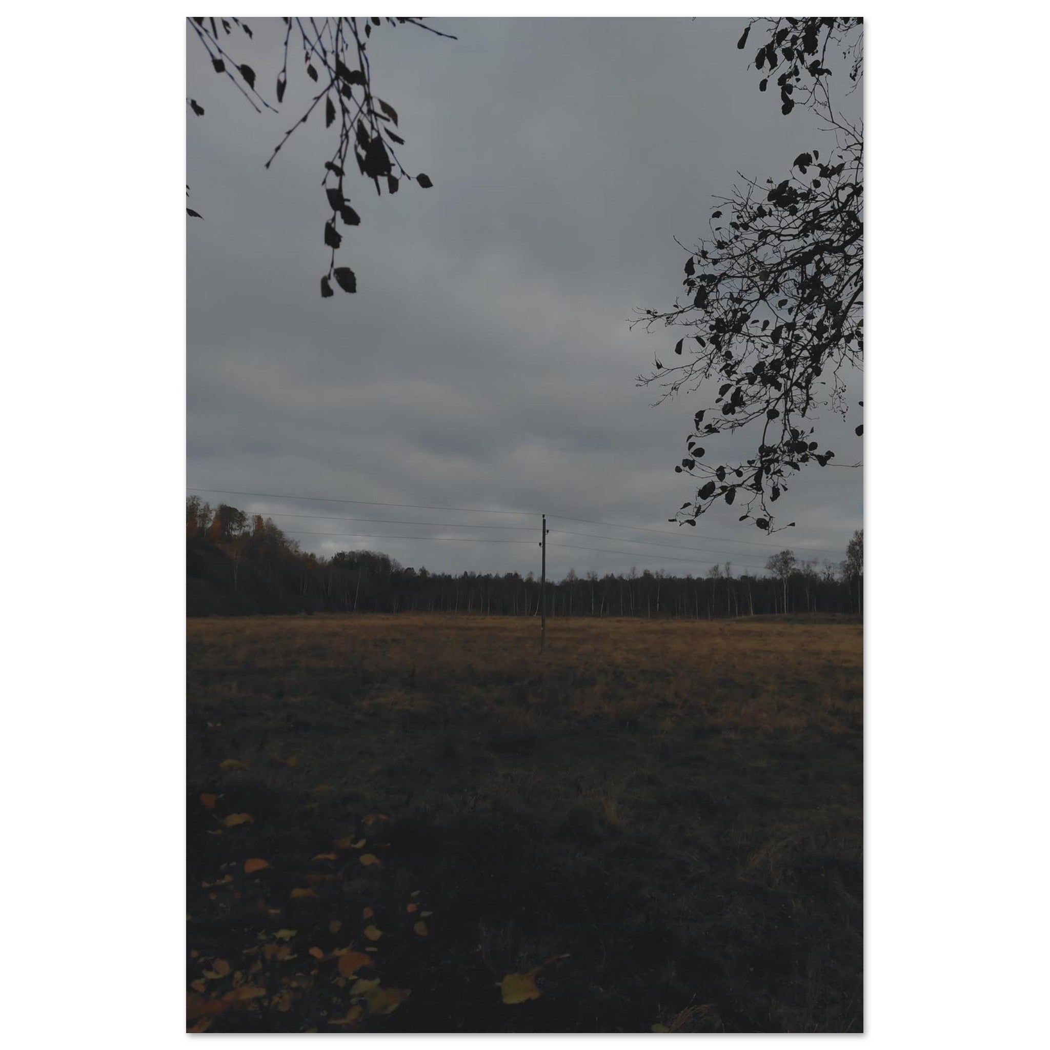 0d49fa4c-0a23-4a0d-9b48-eca5e078b07d