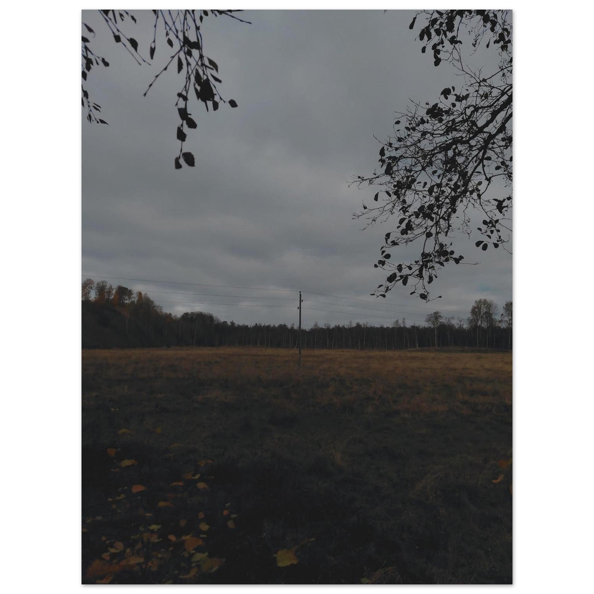 1bcbd9ff-ea4f-44d0-9a7e-deeafe4ce369