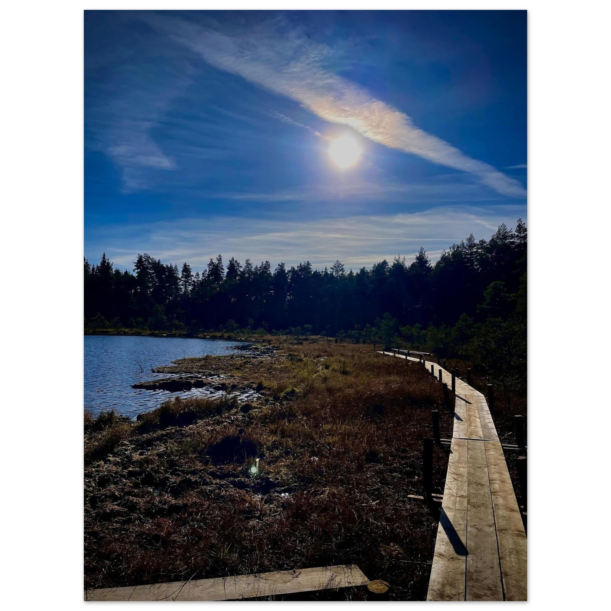 20077c5e-eddc-40c5-a4ae-c613a2251476