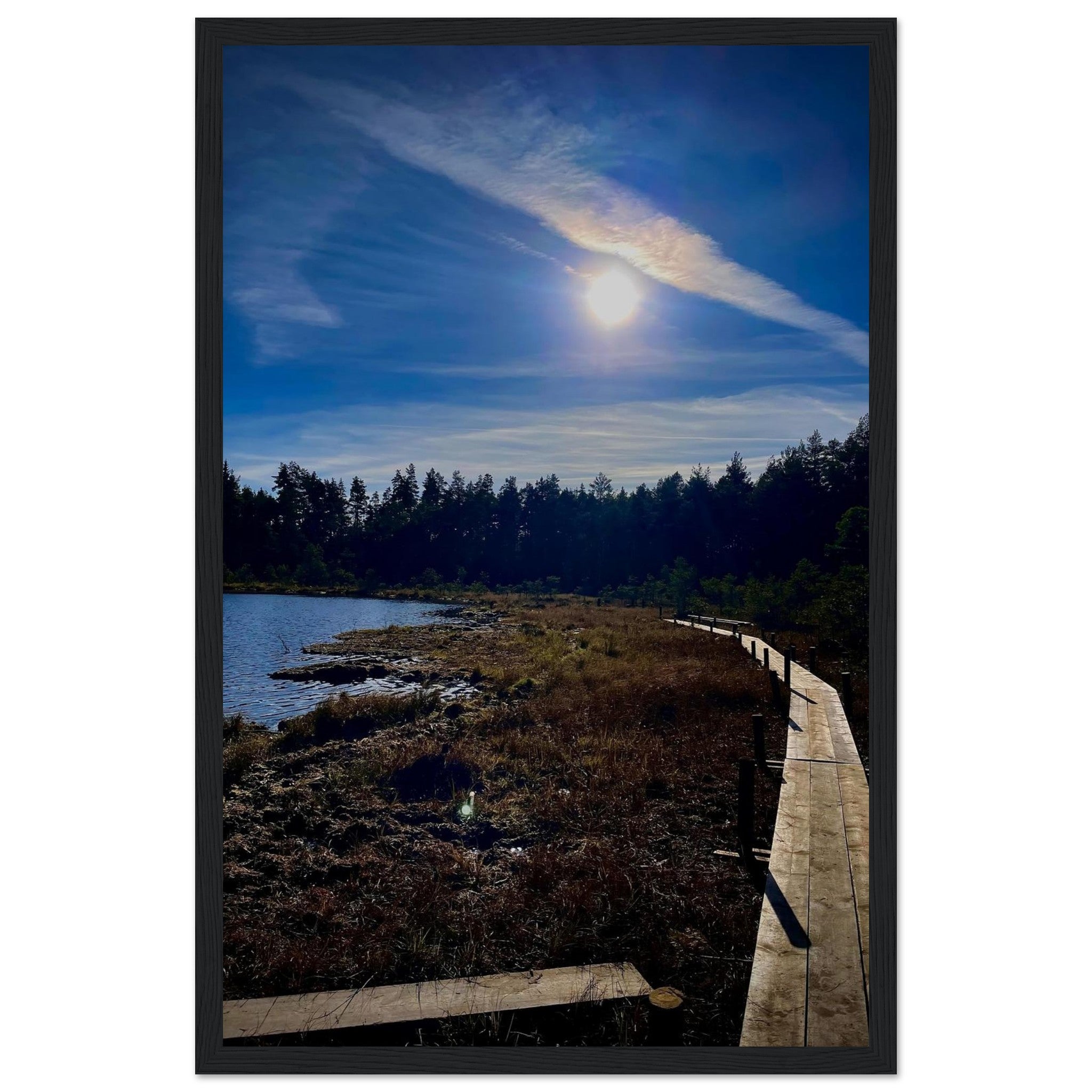 25a36d5f-1f6c-454c-9b6a-0406c979124a