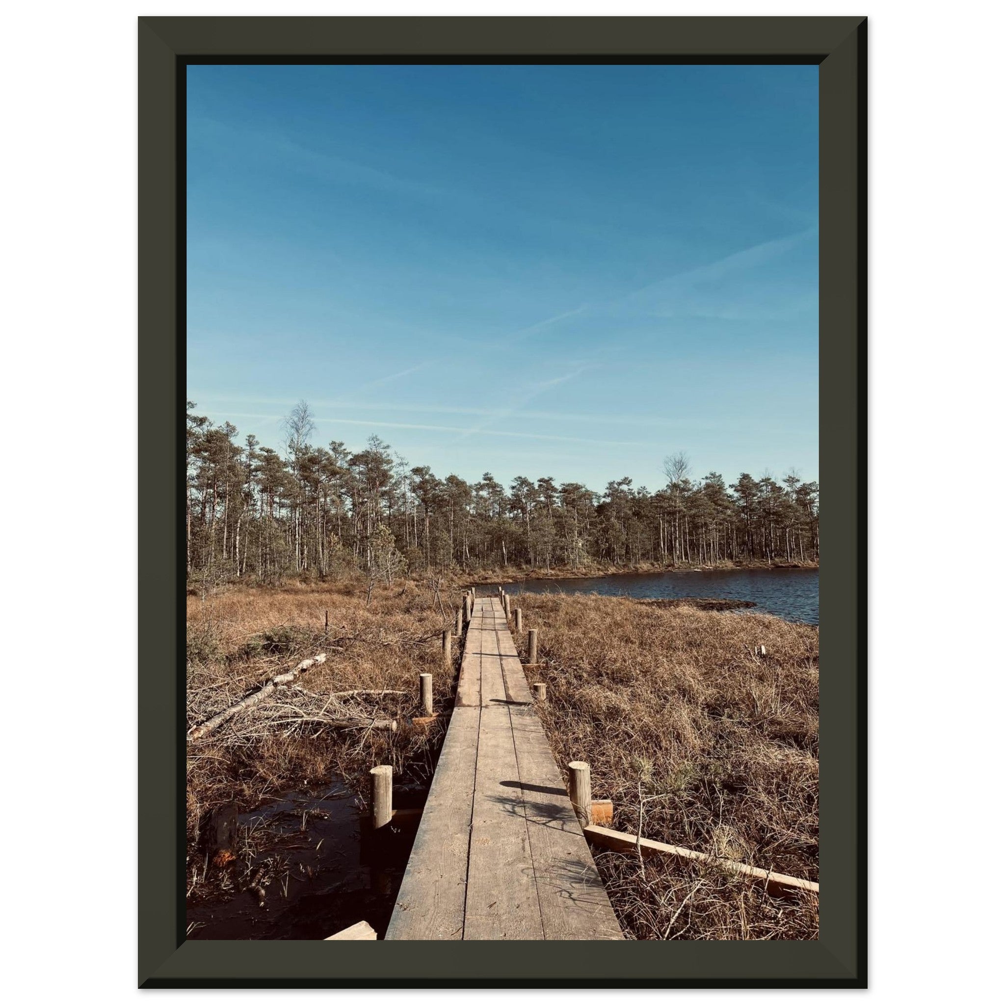 27bdf46f-c669-446e-8fad-9453117e2d74