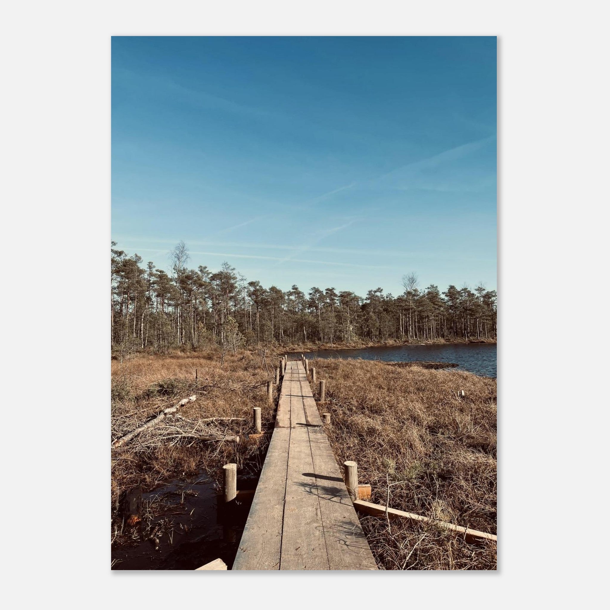 28670911-eeca-433d-b53a-598a2c66c8ee