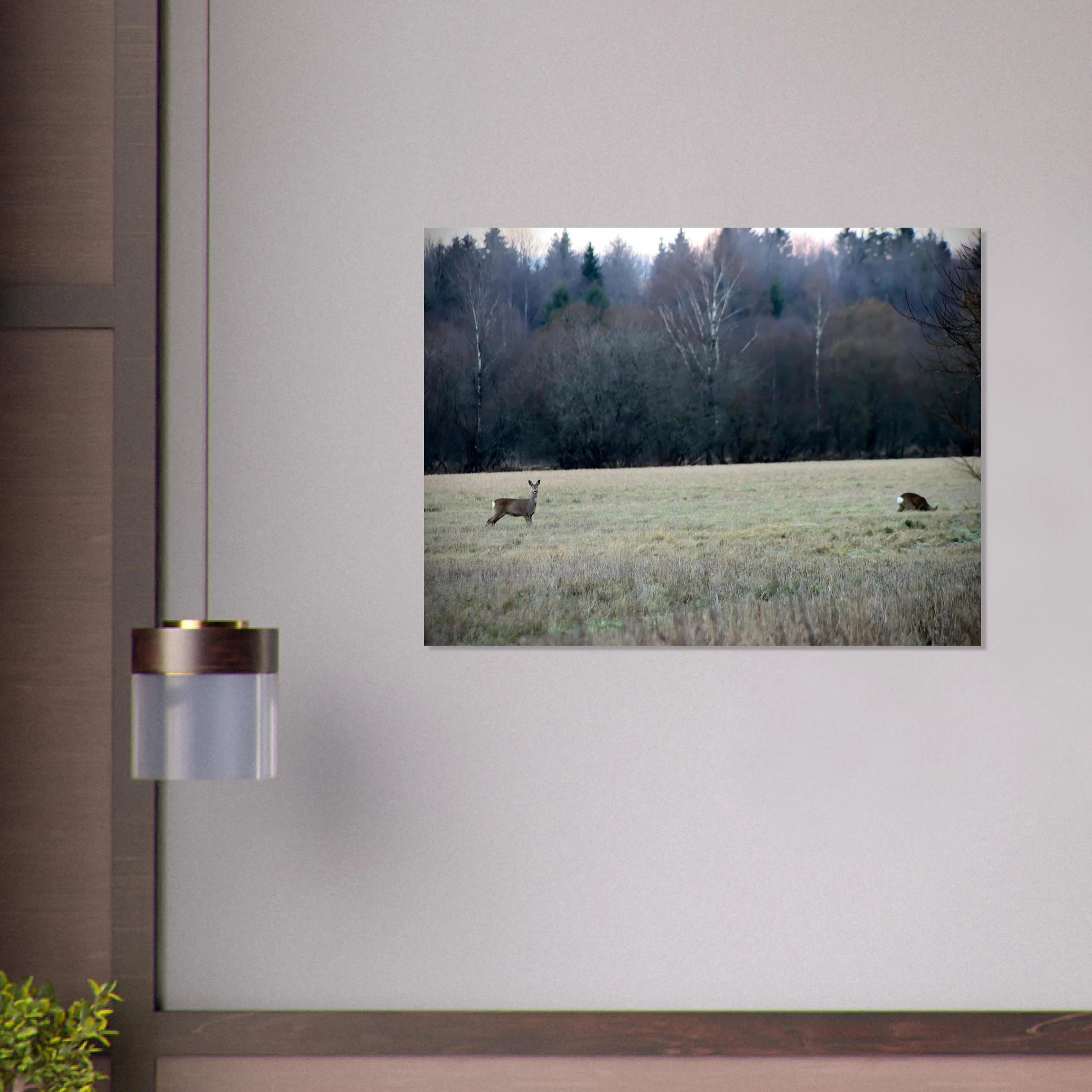 2a28e944-b714-4e7a-a61d-0bf7709e5bd3