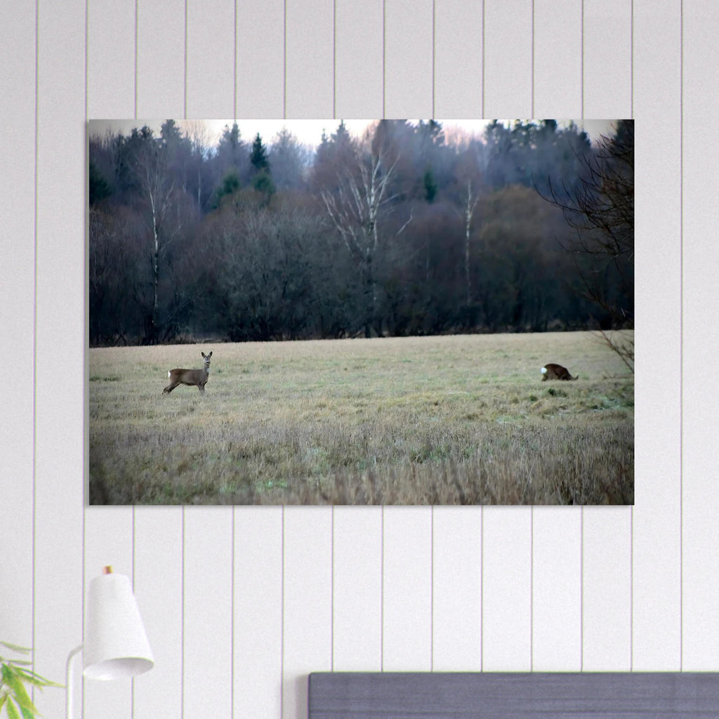 41df8485-5654-4cdb-8233-ca9263ff28b1