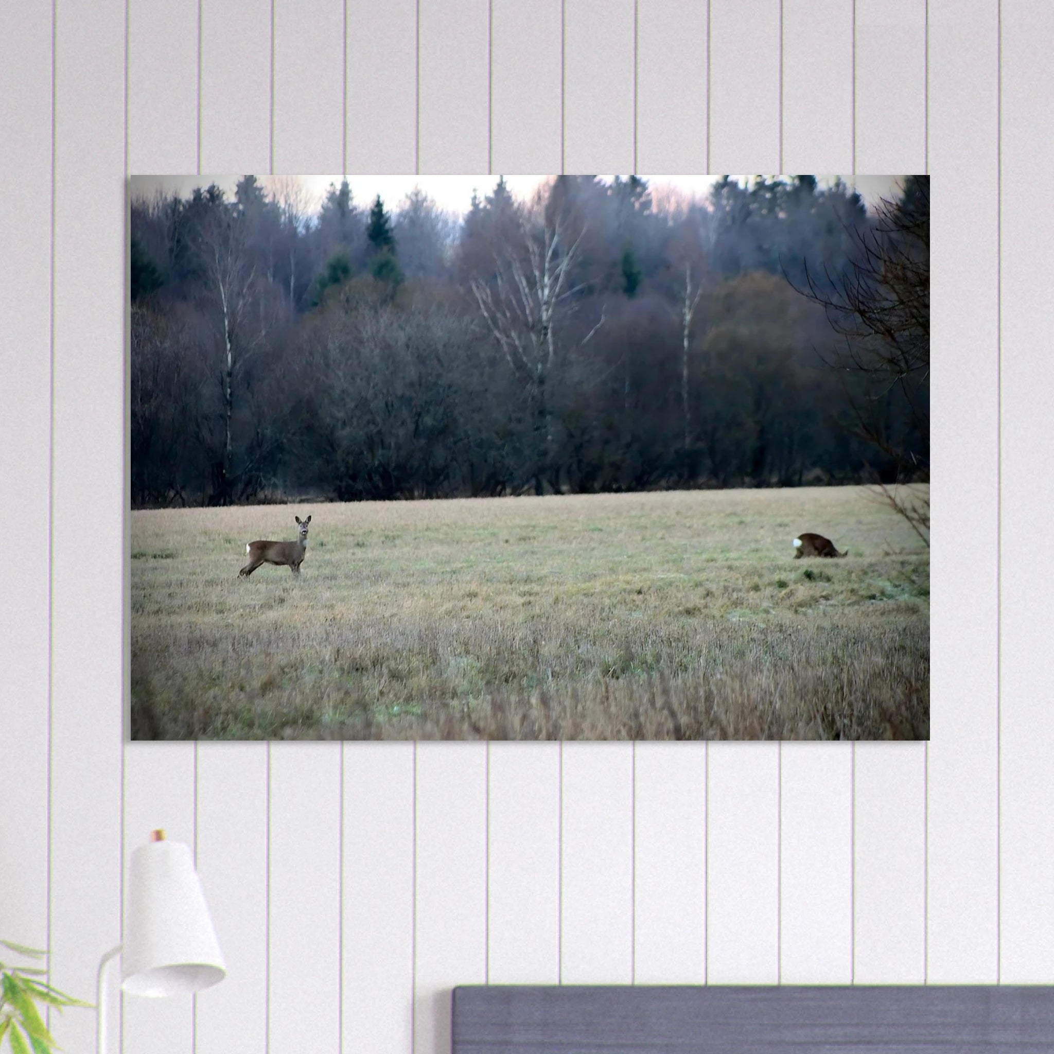 41df8485-5654-4cdb-8233-ca9263ff28b1