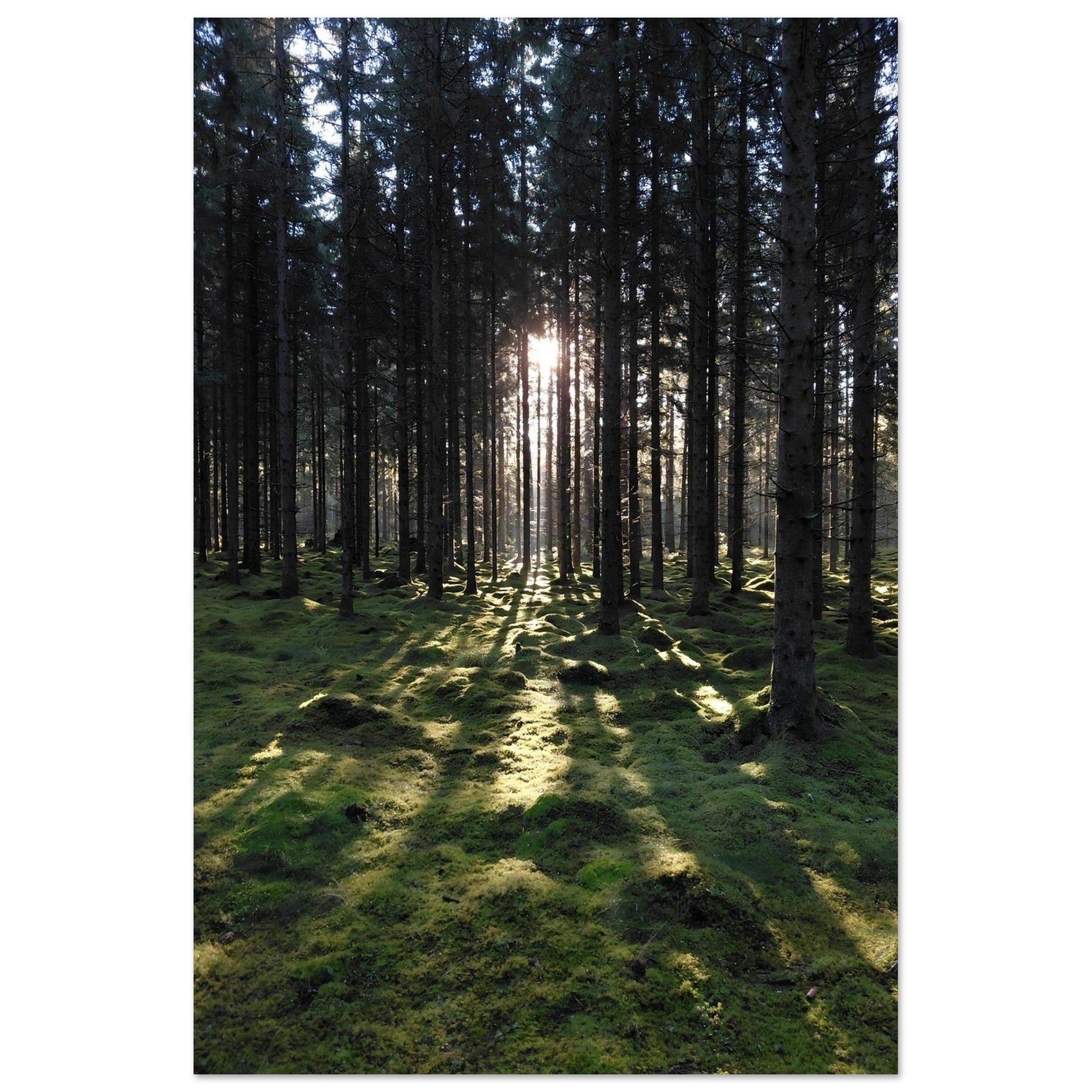 46da35a7-5b4c-4b42-a53a-0c47d6654e8d