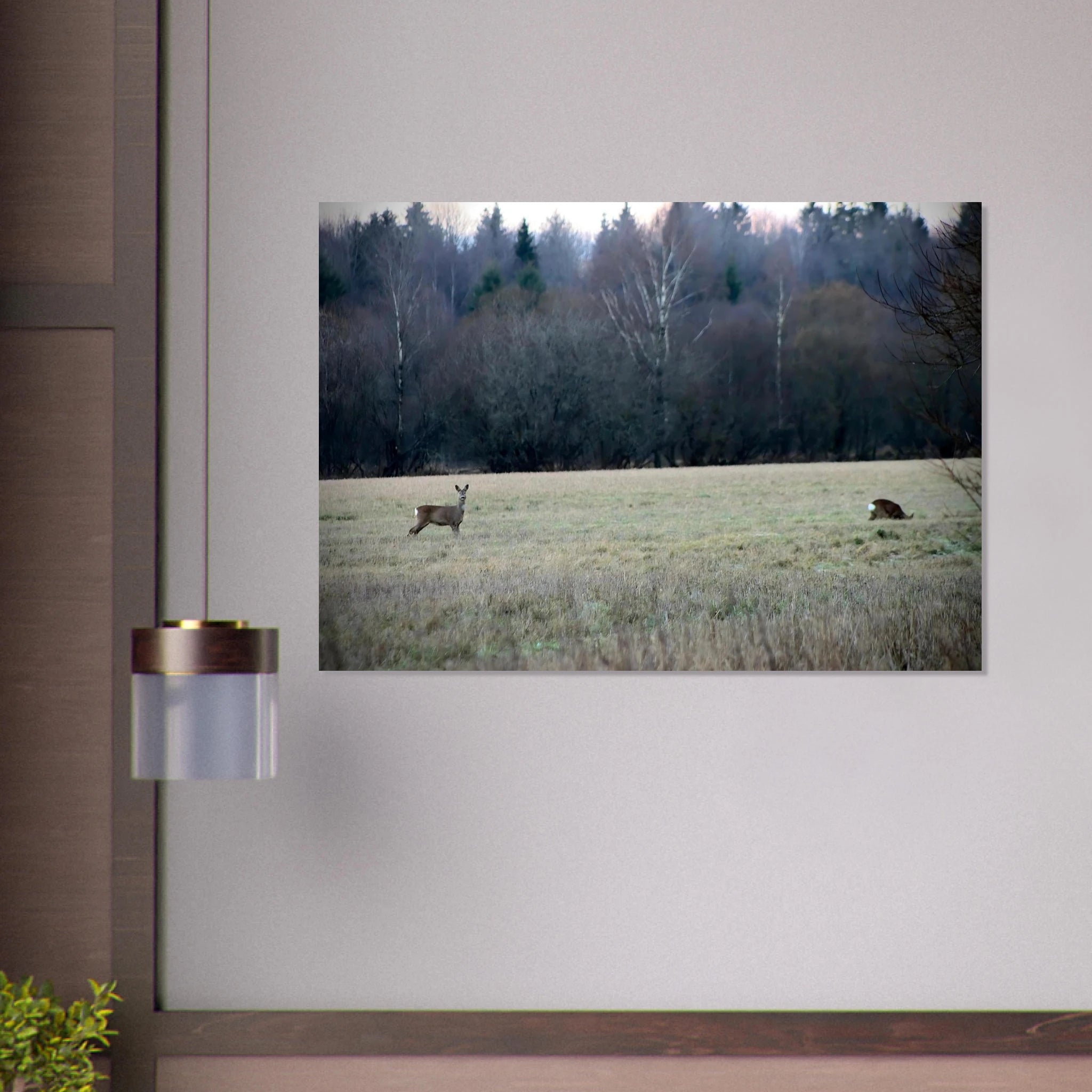 487ba20f-af45-495b-9fc6-4087c79c4f81