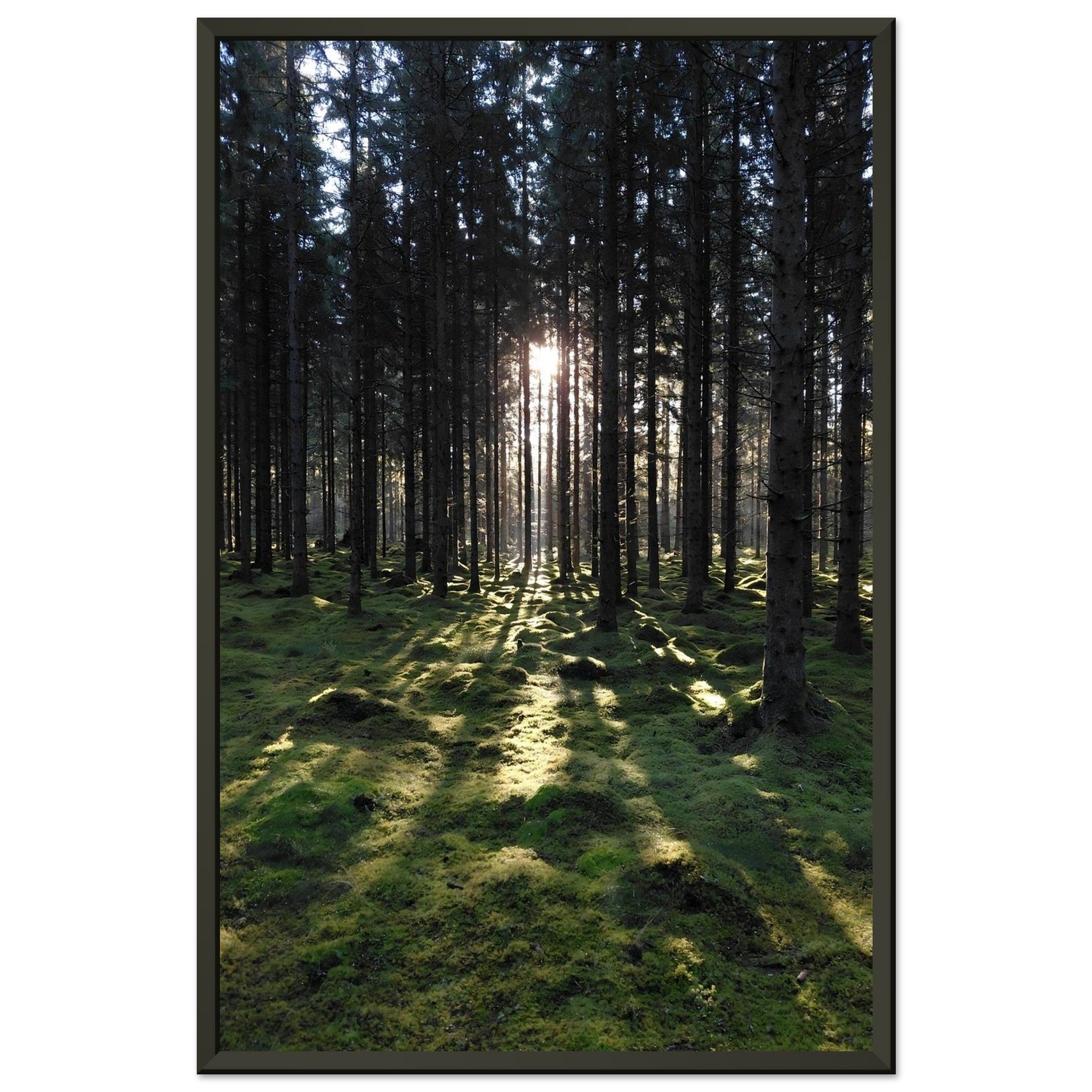 49b42aaa-dba1-4229-bacb-3a342160428a