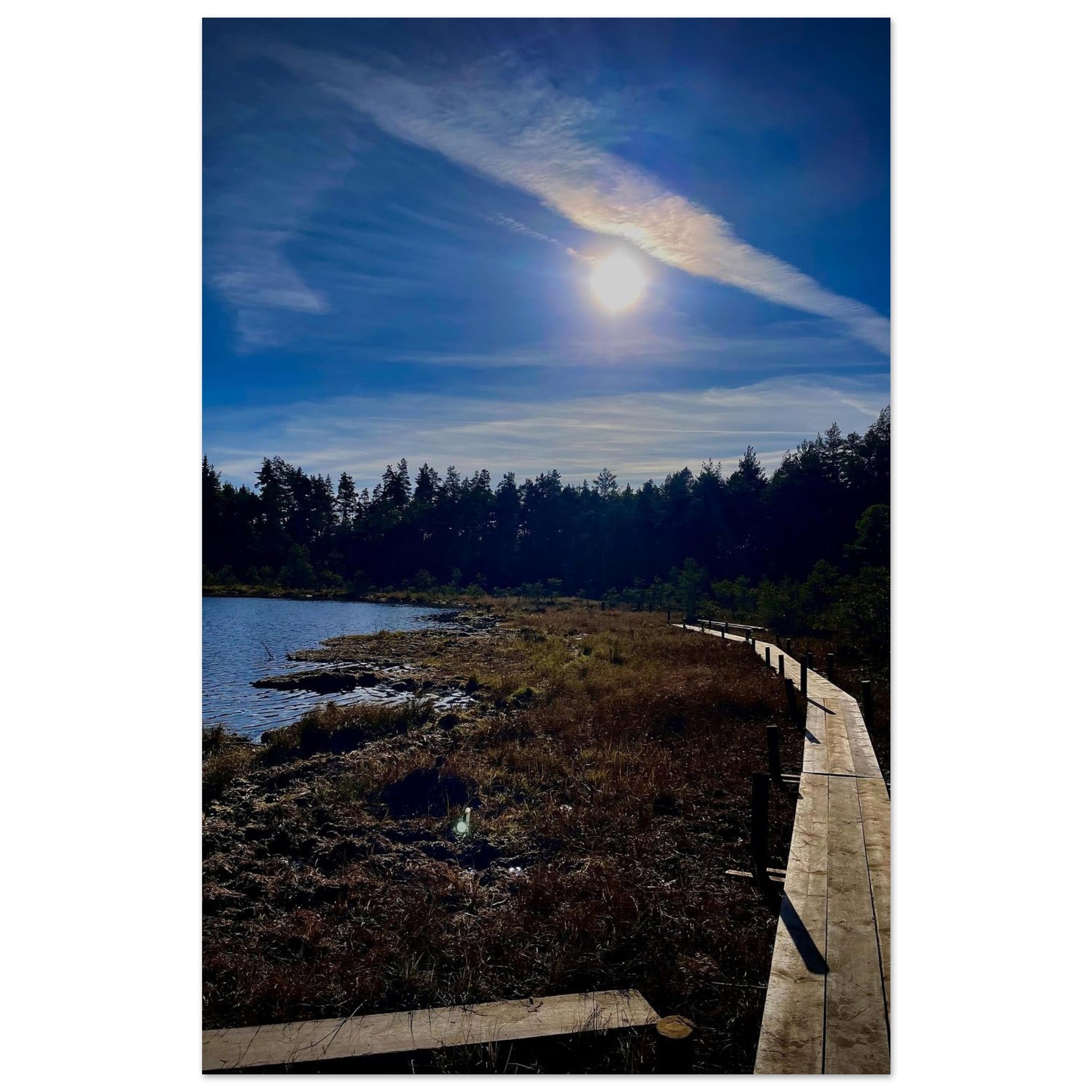 4c911529-638d-482a-8bff-dbc819d0a4a0