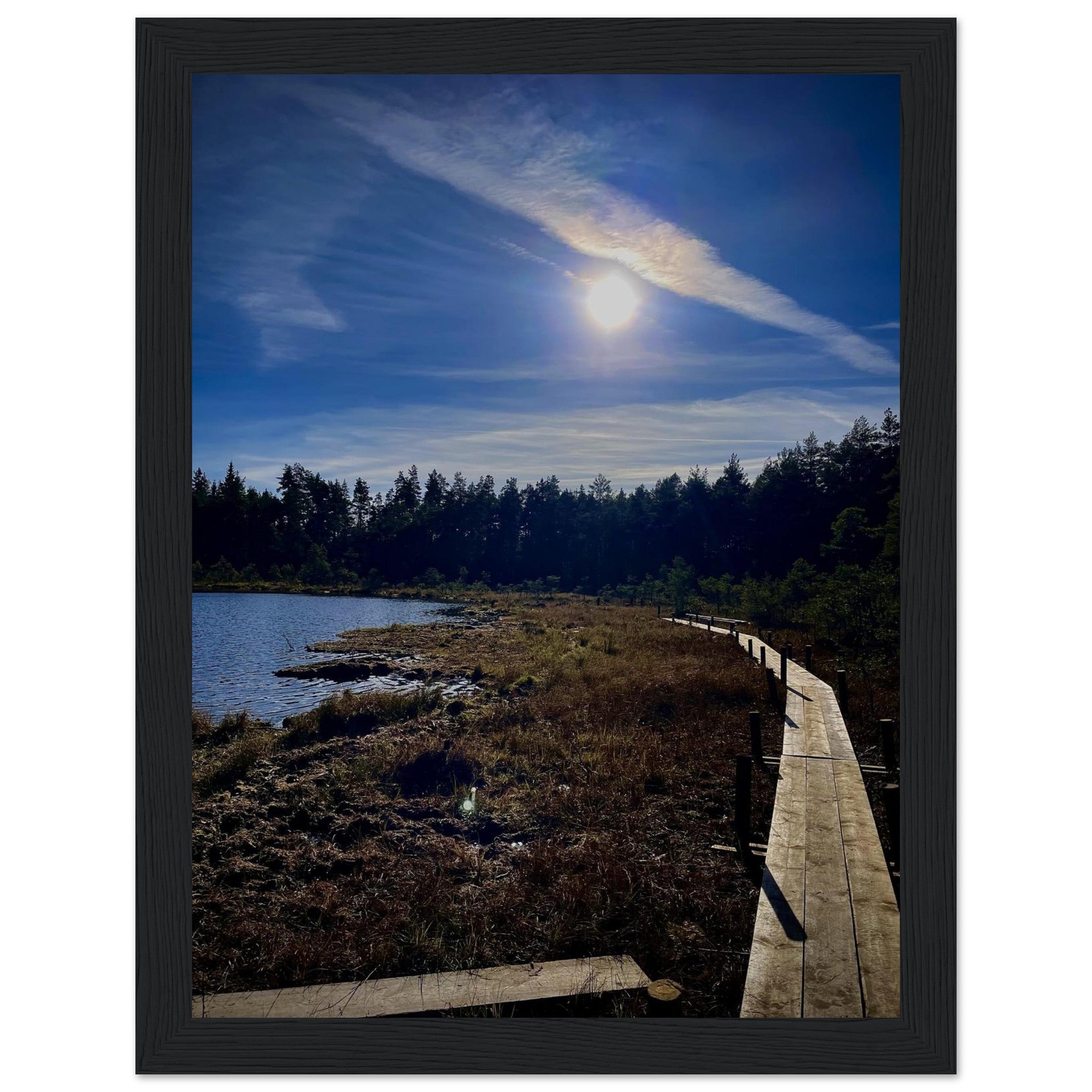 4ce4c033-06d2-4414-92cd-f46953792b88