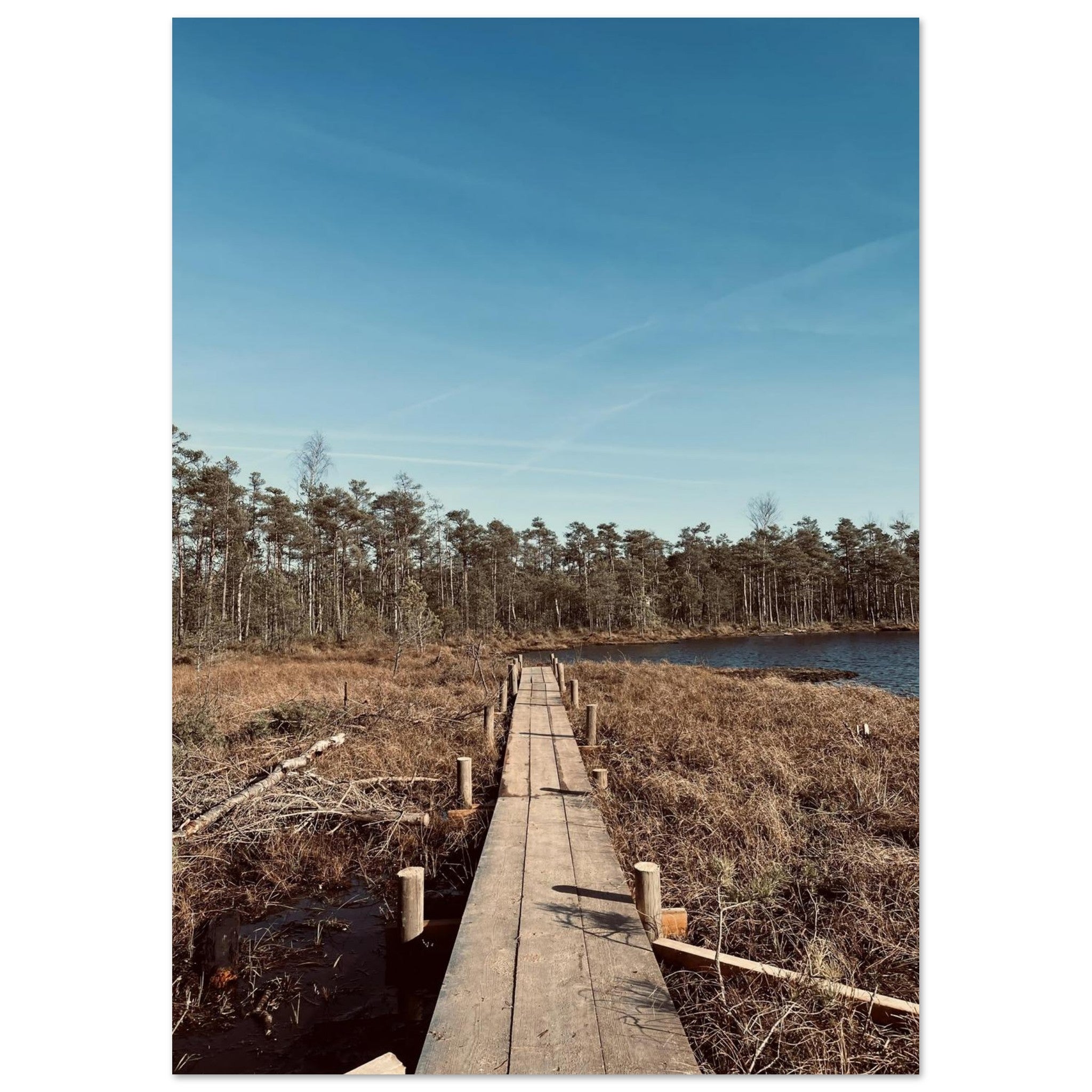 5438e40b-8f54-45b4-bb86-260eb96577c3