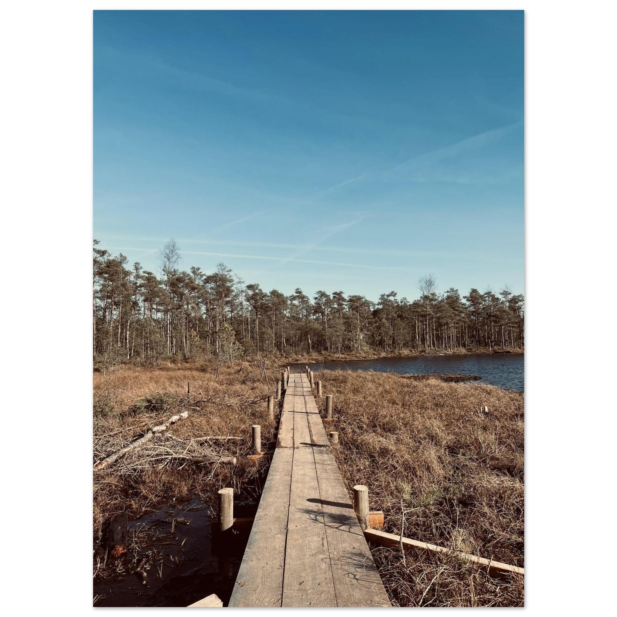 55bae1ef-4662-4c03-98da-afef5104f7e3