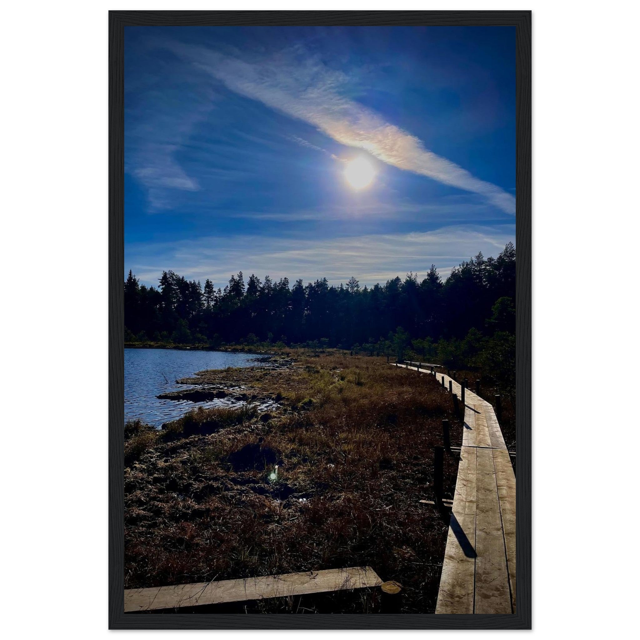 569bb512-c2e6-44b6-ac1b-879500eb2f17