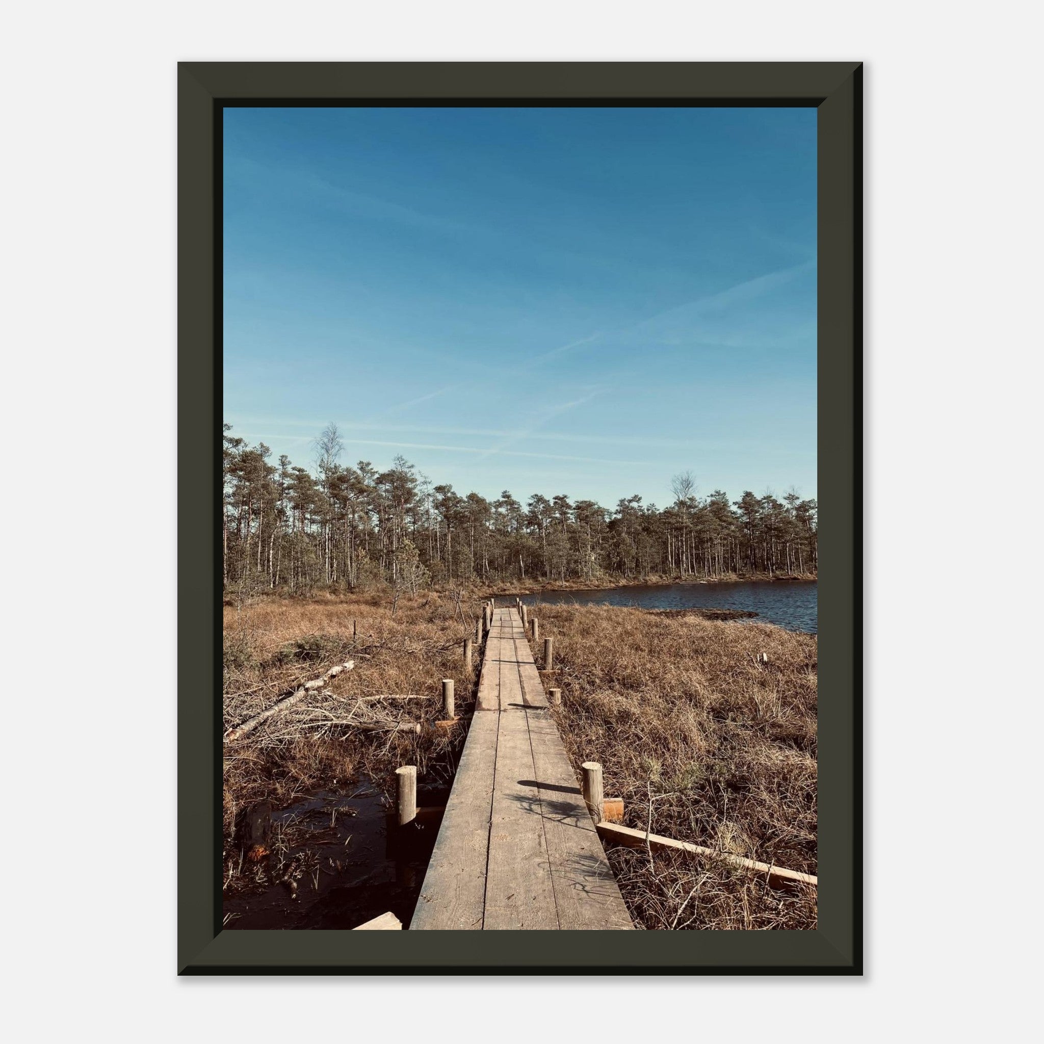 5dd98f36-9324-475c-8be4-efa533c24417