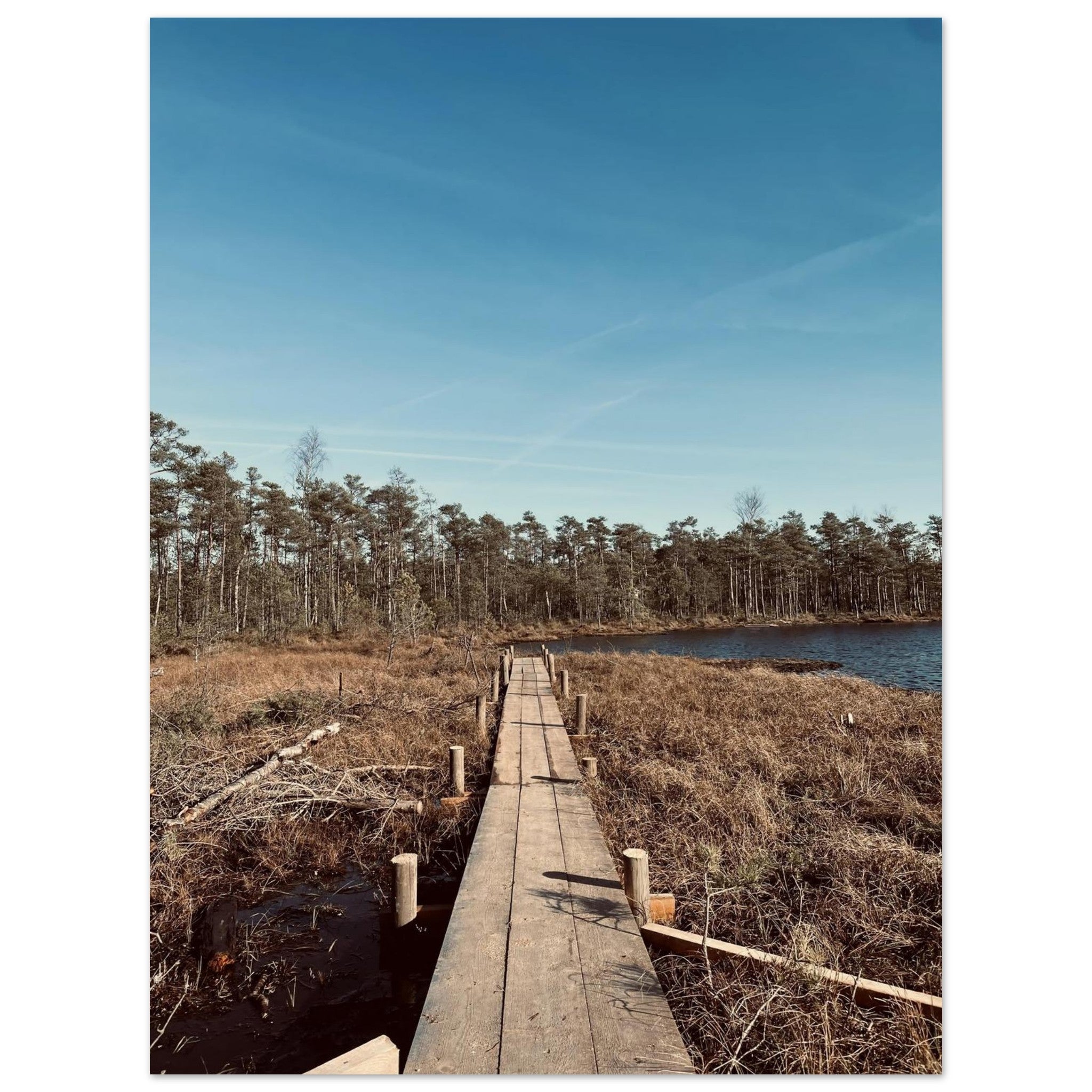 61a5e0ef-00e4-4131-ba27-9974155d7a64