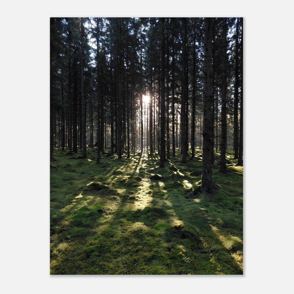 6bfc3e61-d61c-4ebd-b8f1-b2c042530925