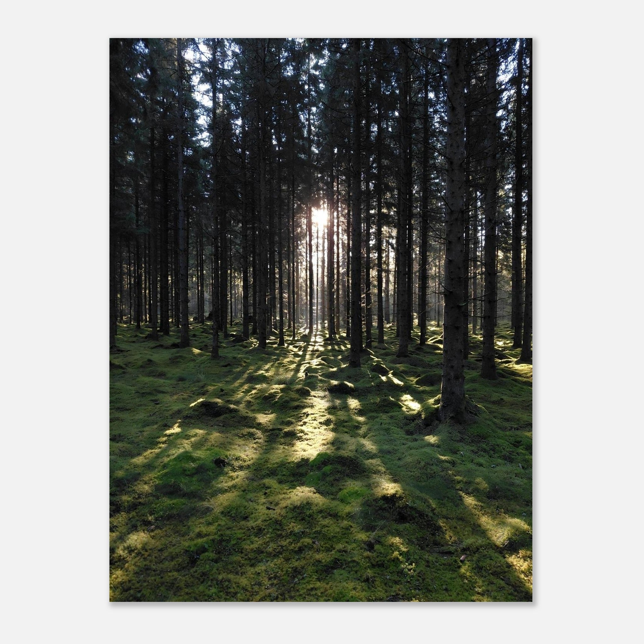 6bfc3e61-d61c-4ebd-b8f1-b2c042530925