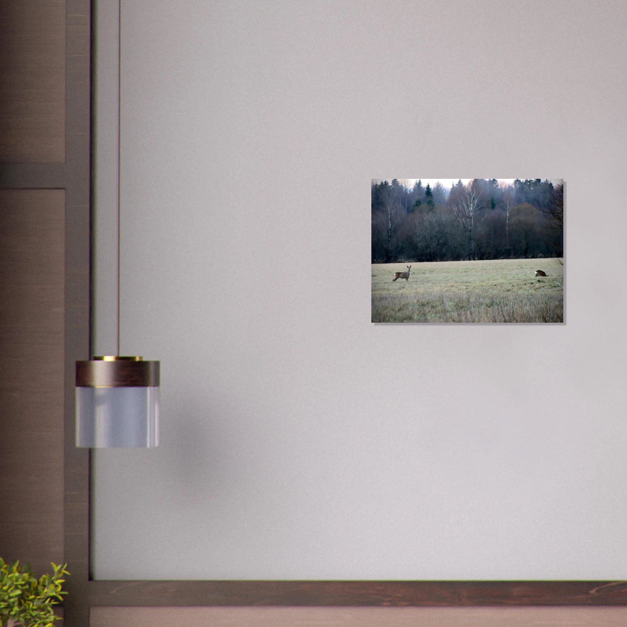 6c53098f-f7cd-419b-8e59-ec5fc93dcde8