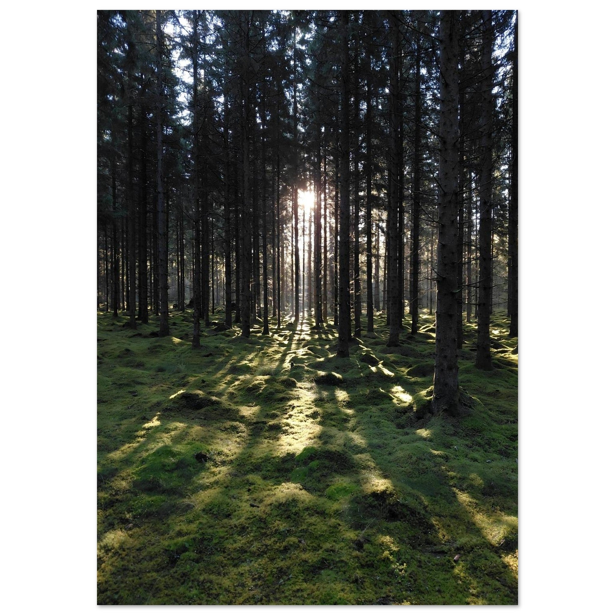 70255688-1404-499f-810a-6825d59fbc05