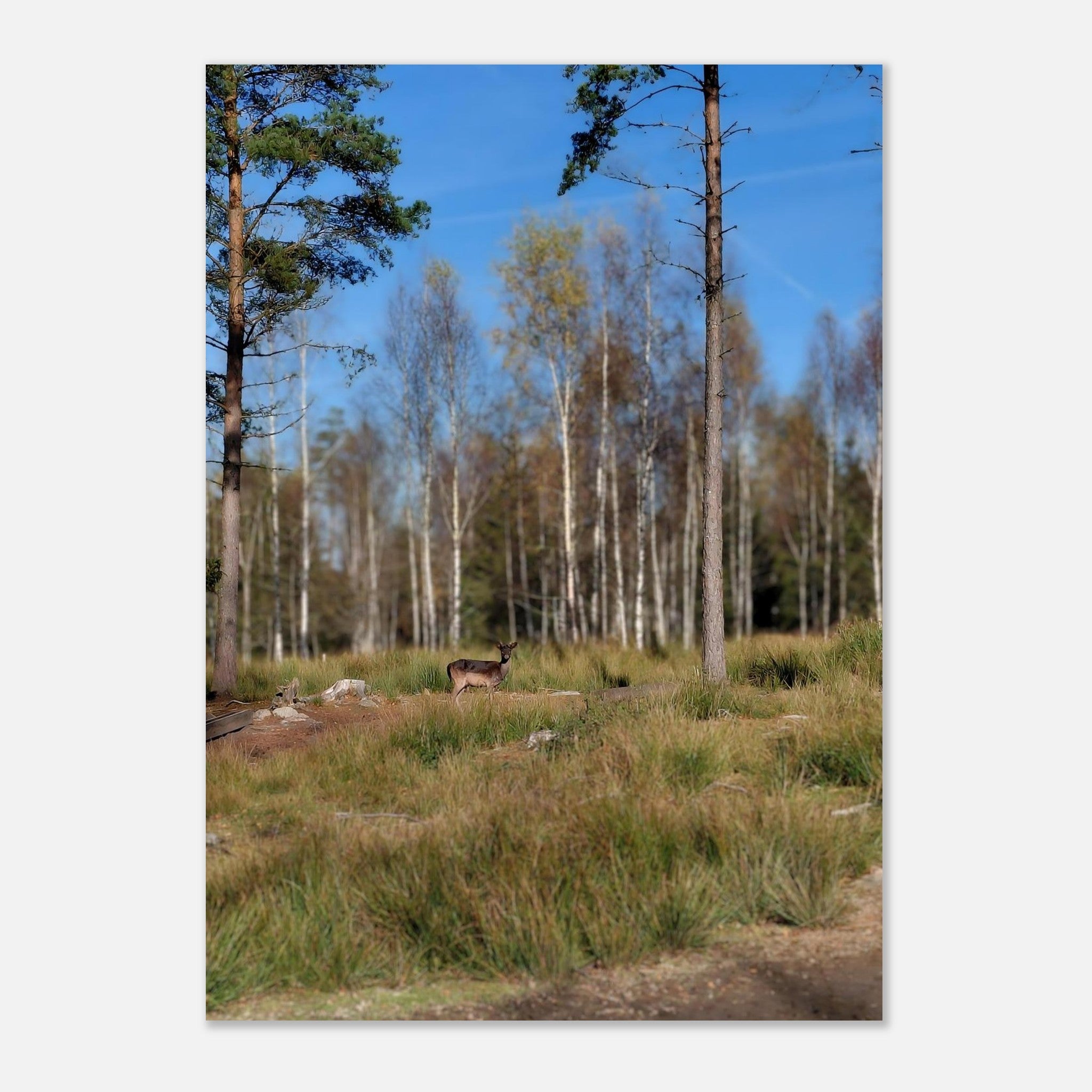 7e4322f9-a680-4dd5-ac03-055e74da584f