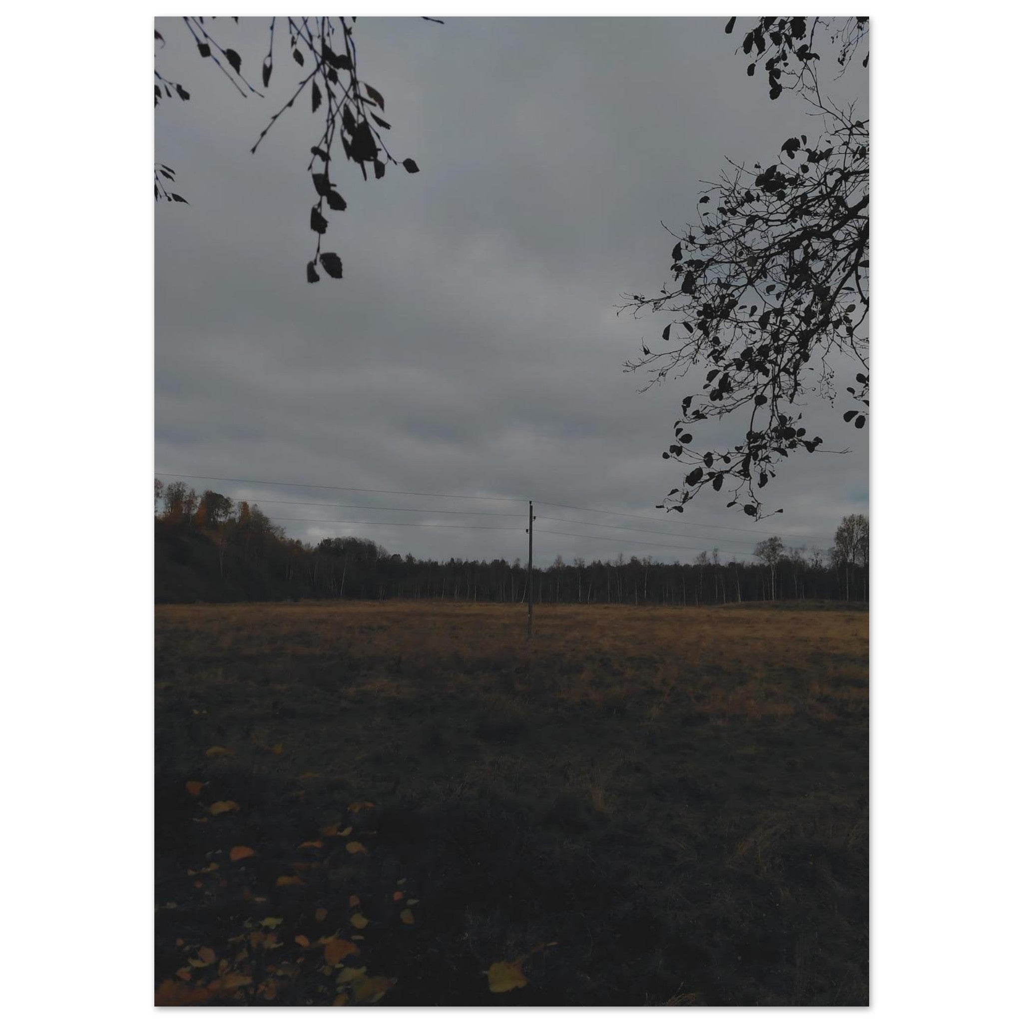 820af088-51f9-4009-96cb-c38ddec3d474