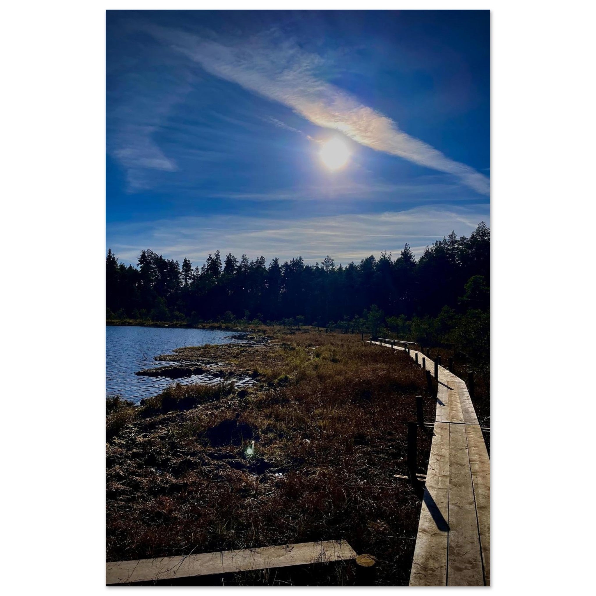 8610e9da-a747-49b8-939a-543dd402d187