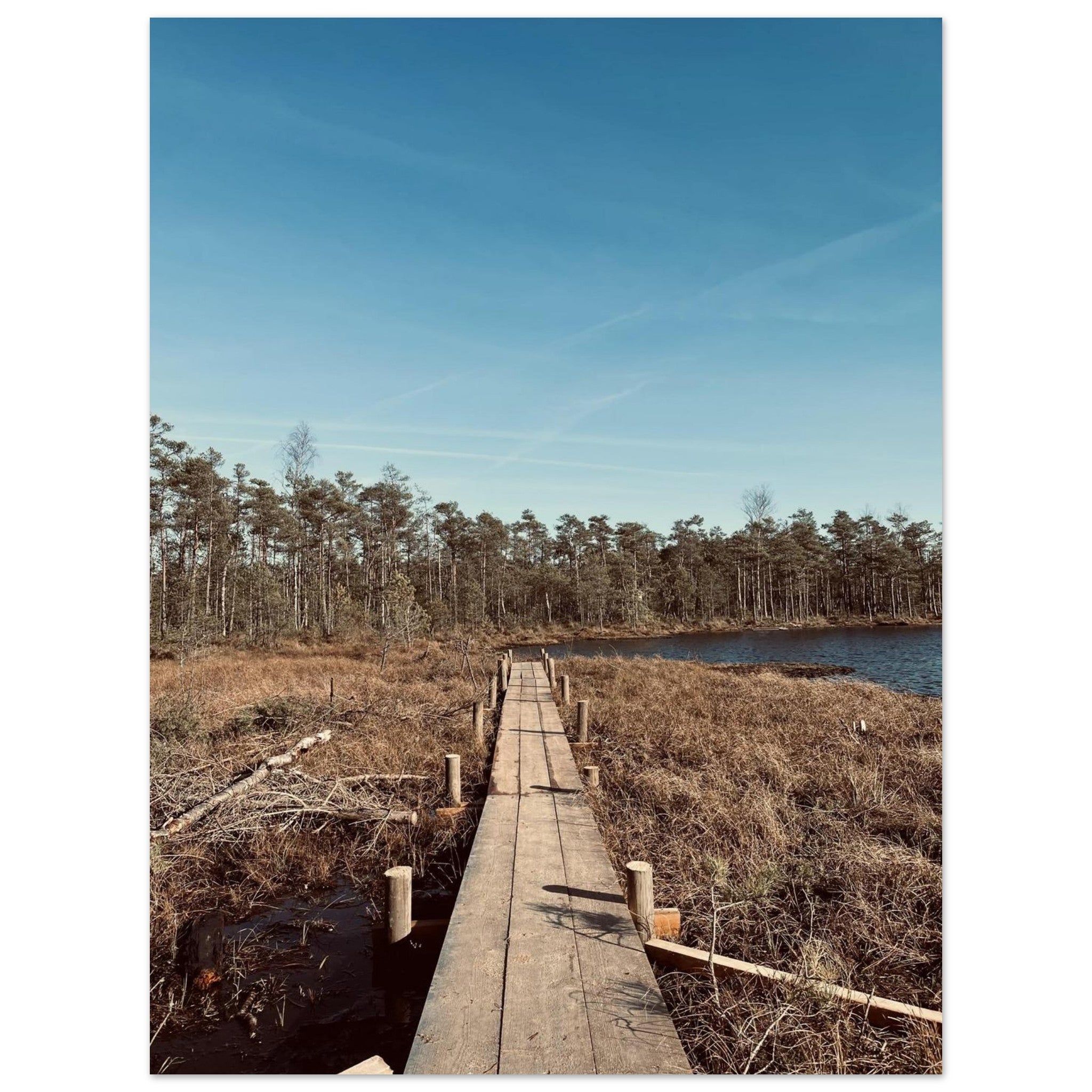 8f928151-c54a-4382-a8e4-48016cbb9626