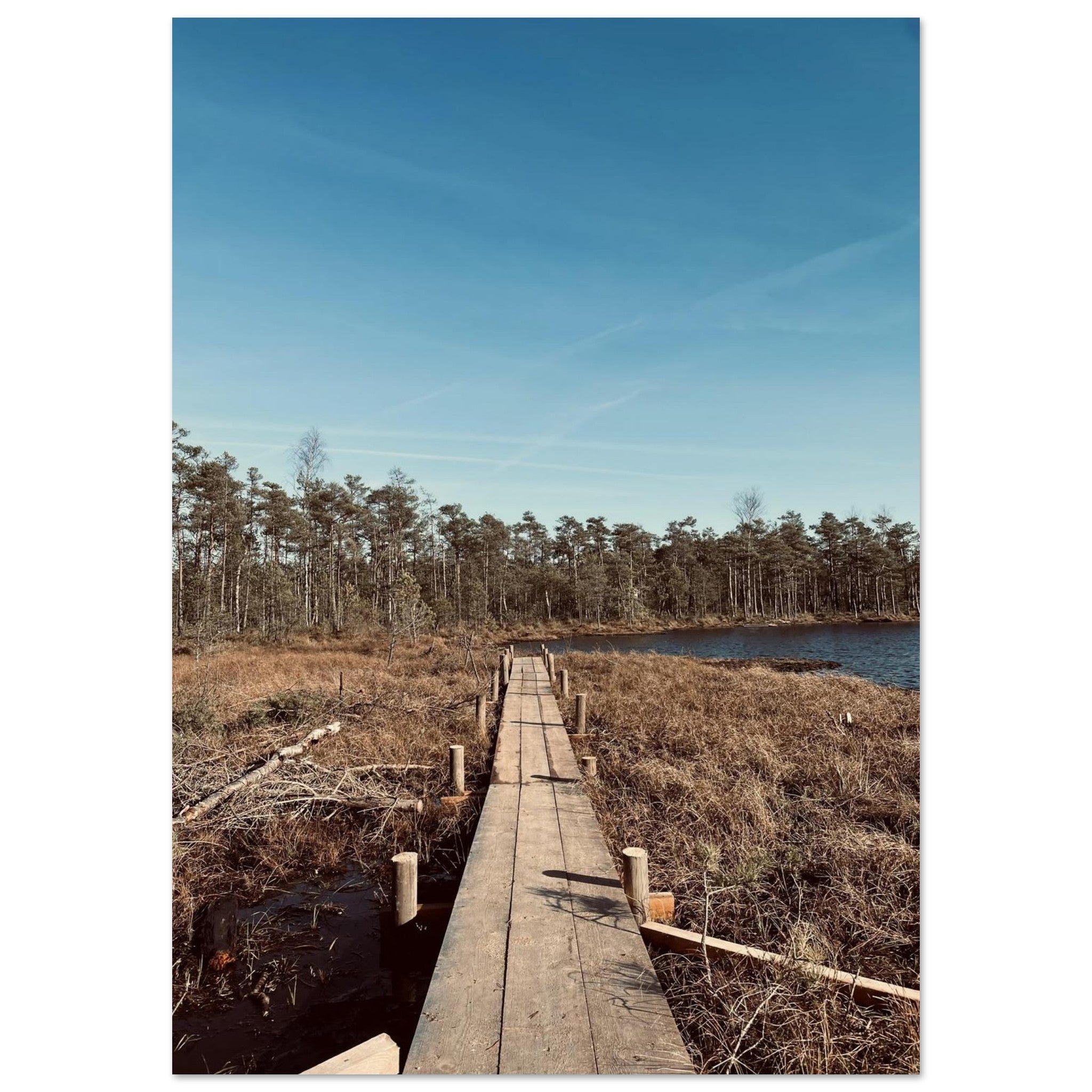 95807293-8f3f-431c-91ce-443b681a559b