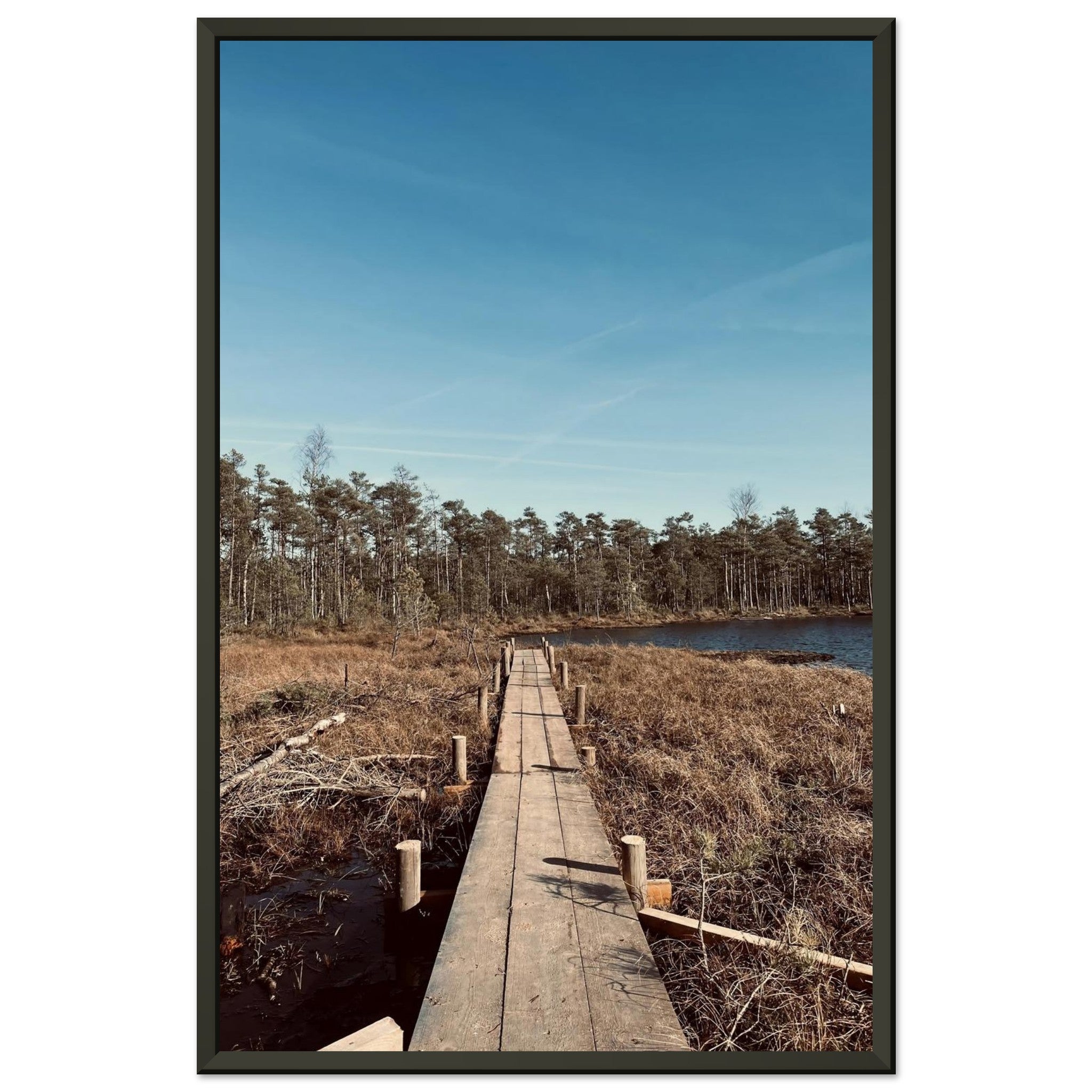 96d99aa6-c7df-4312-90b5-3ce0b56fcda1