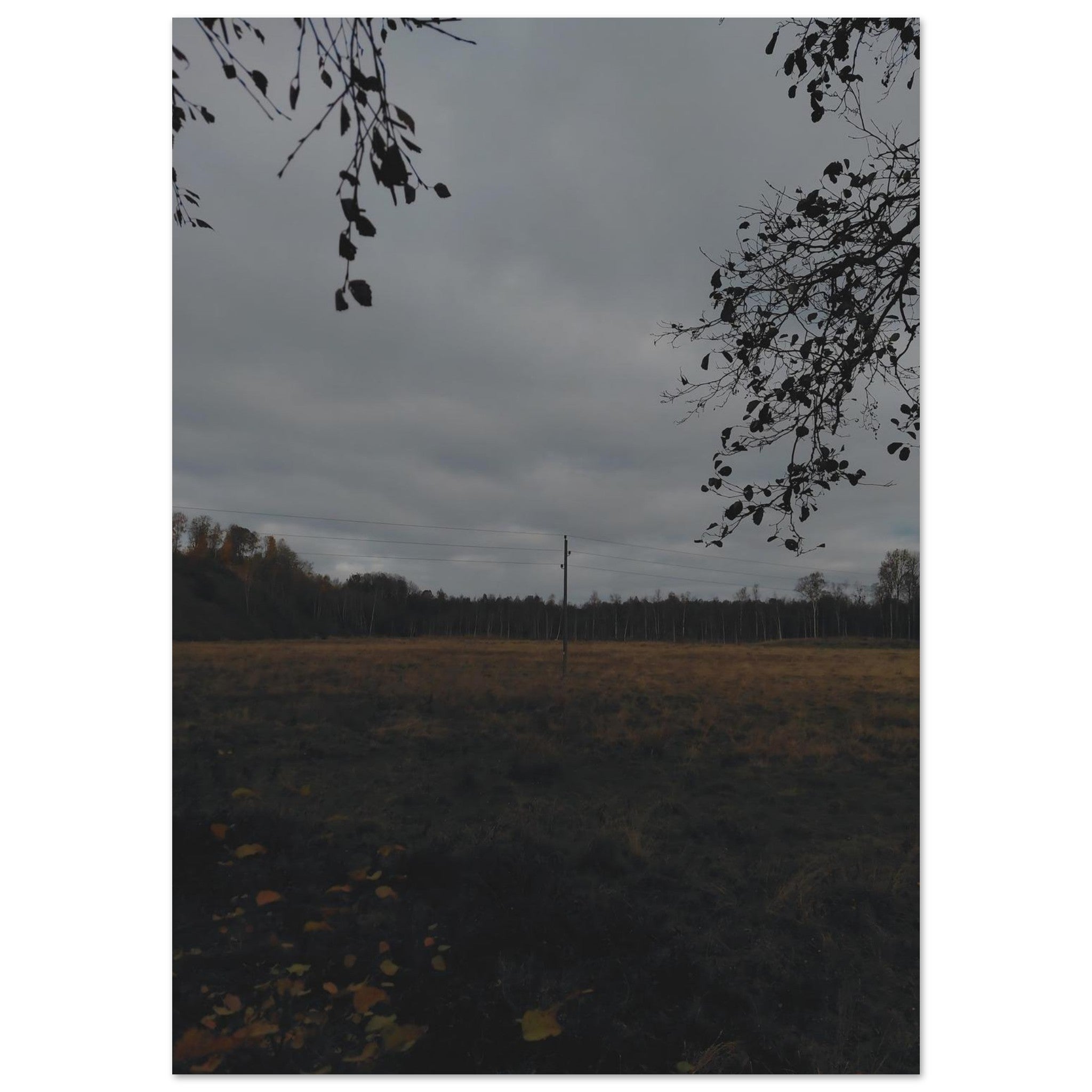 976ff0b6-2fc0-4256-a316-3e92ce963ca4