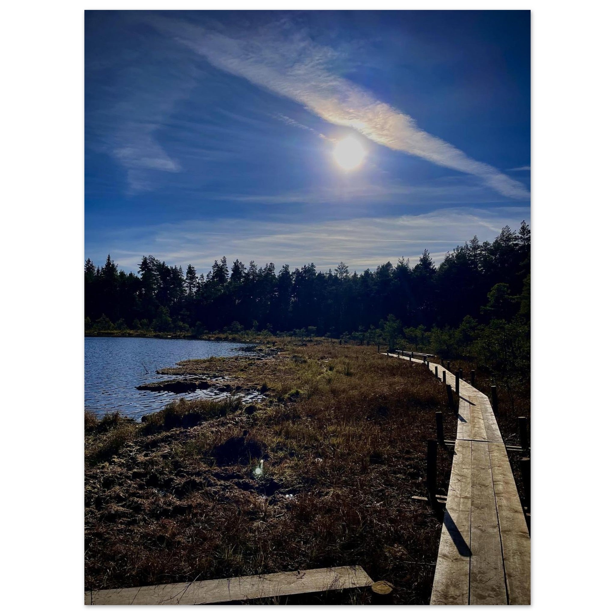 9997b5ed-8b38-43b1-8b17-b9d213b14aa2