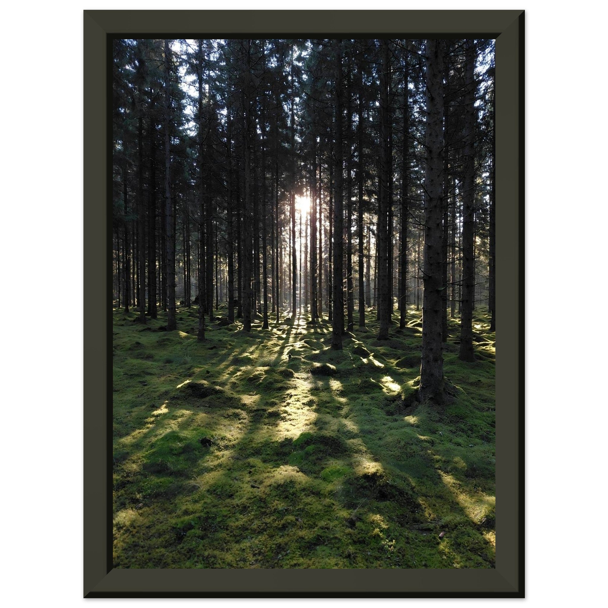 9f06101e-642e-4022-95c1-17ef705af604