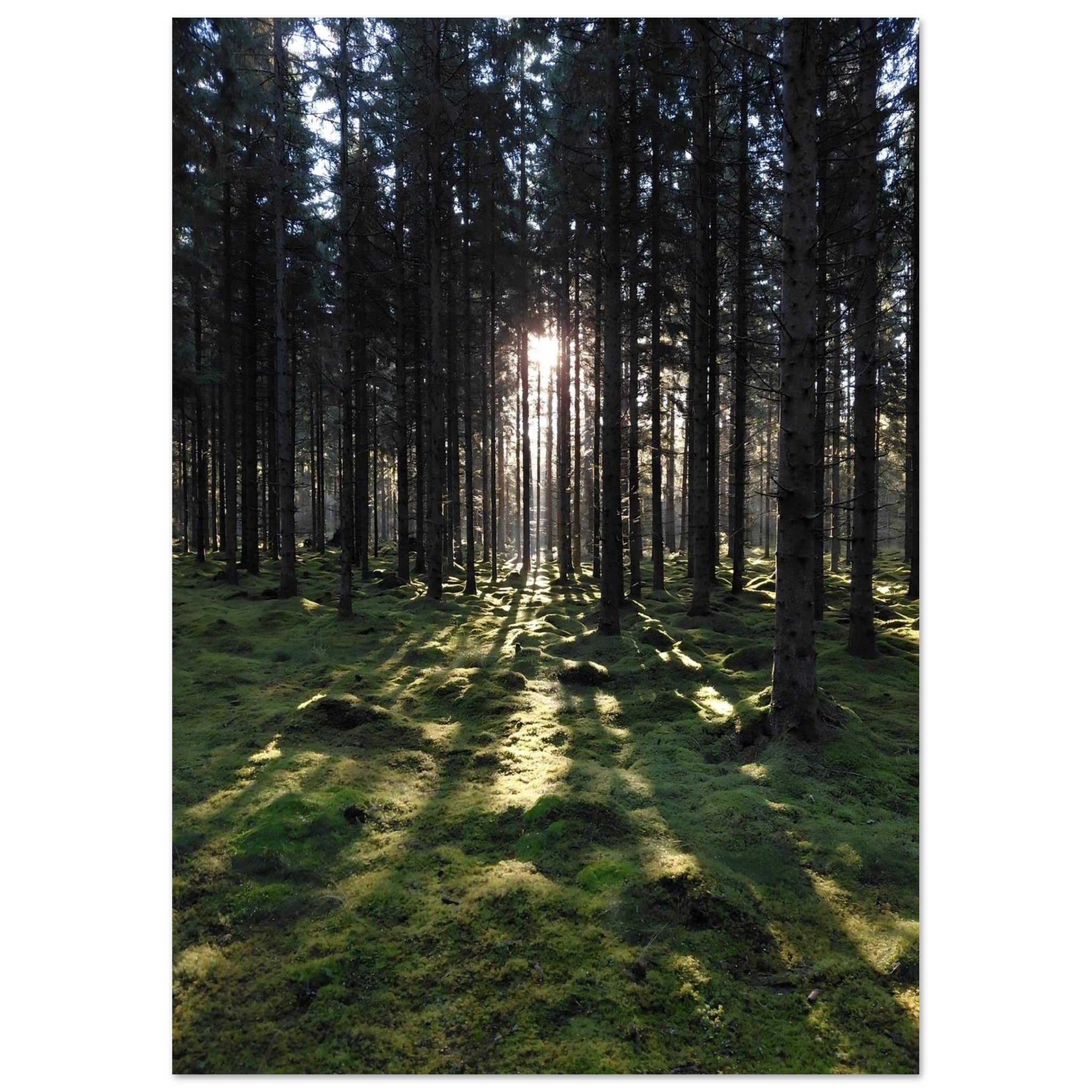 9f0fdb58-9586-438d-bad2-ea39a40a7a0a