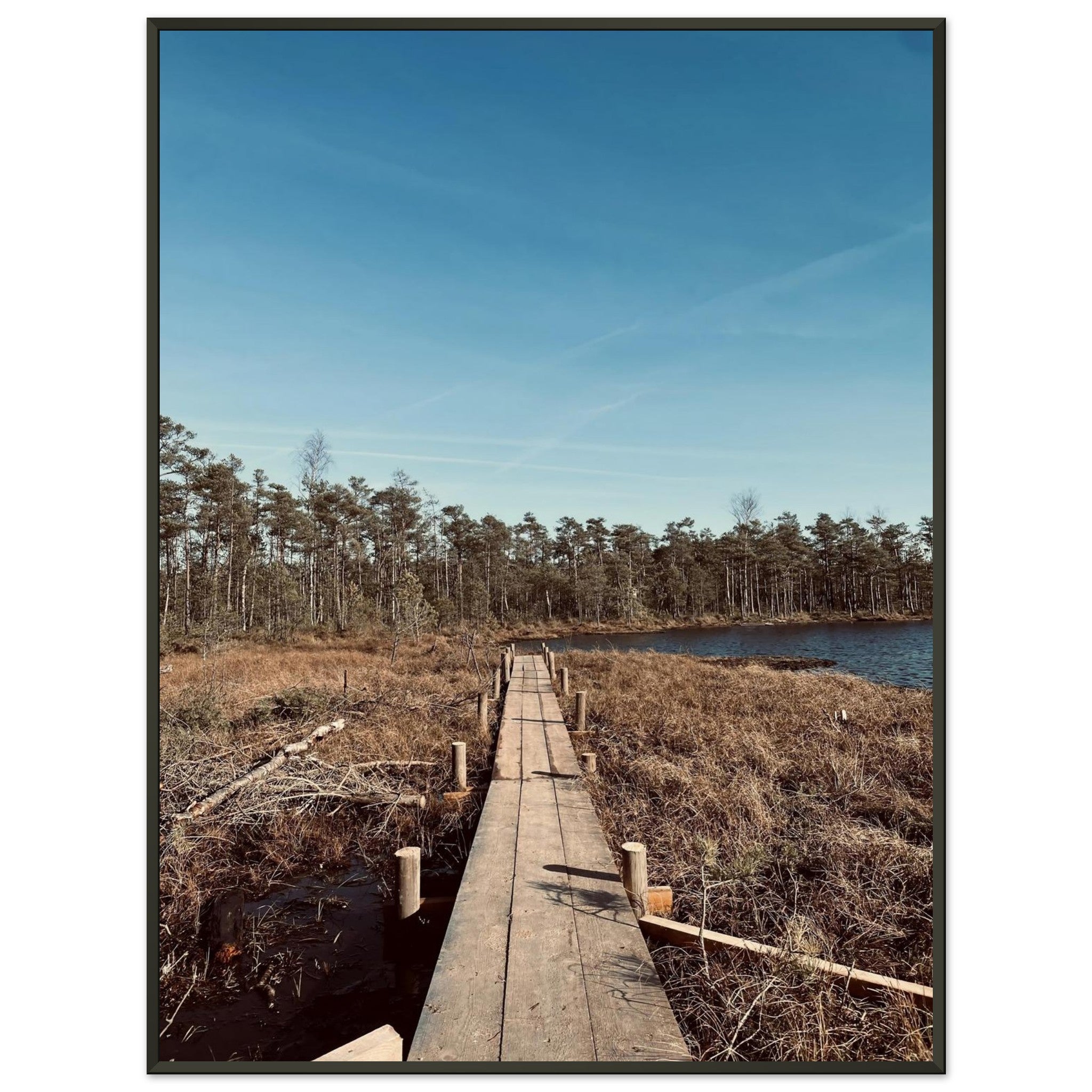 a51f85d0-0522-42b7-bf09-60252c40504b