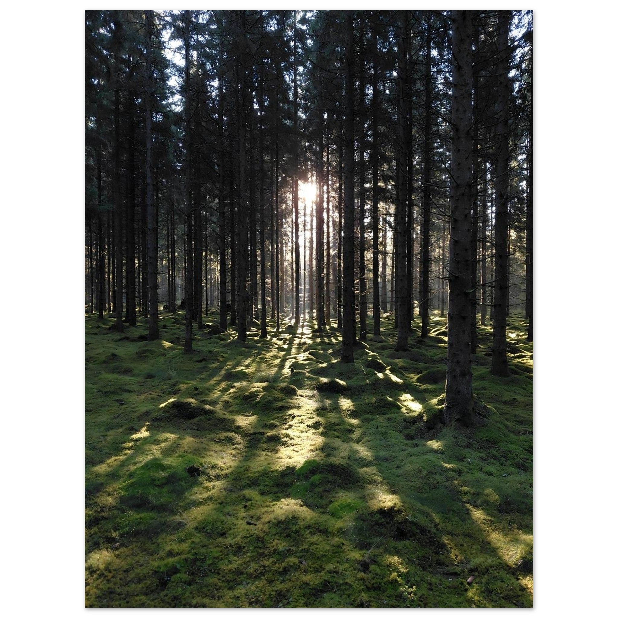 b79c9c8c-e968-47bb-8042-c40db01bc652