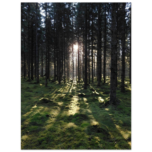 b79c9c8c-e968-47bb-8042-c40db01bc652