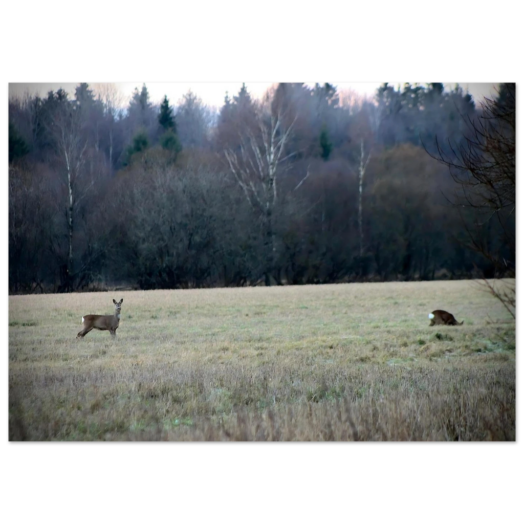 c35b7602-dcb9-4632-9e94-3053bfff47ea