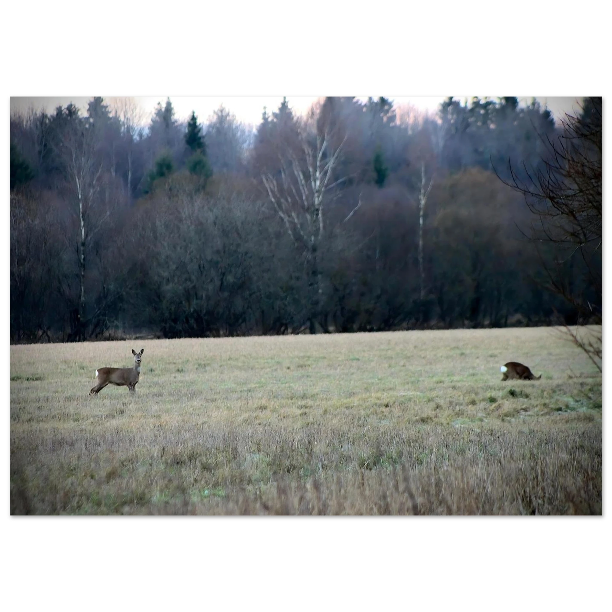 c35b7602-dcb9-4632-9e94-3053bfff47ea