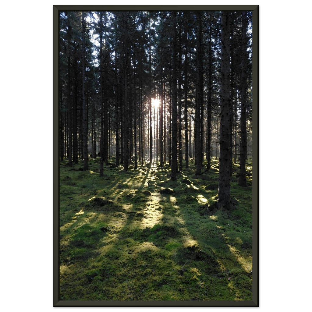 c3d2695c-214a-44dc-a444-6f8f12b03b9c