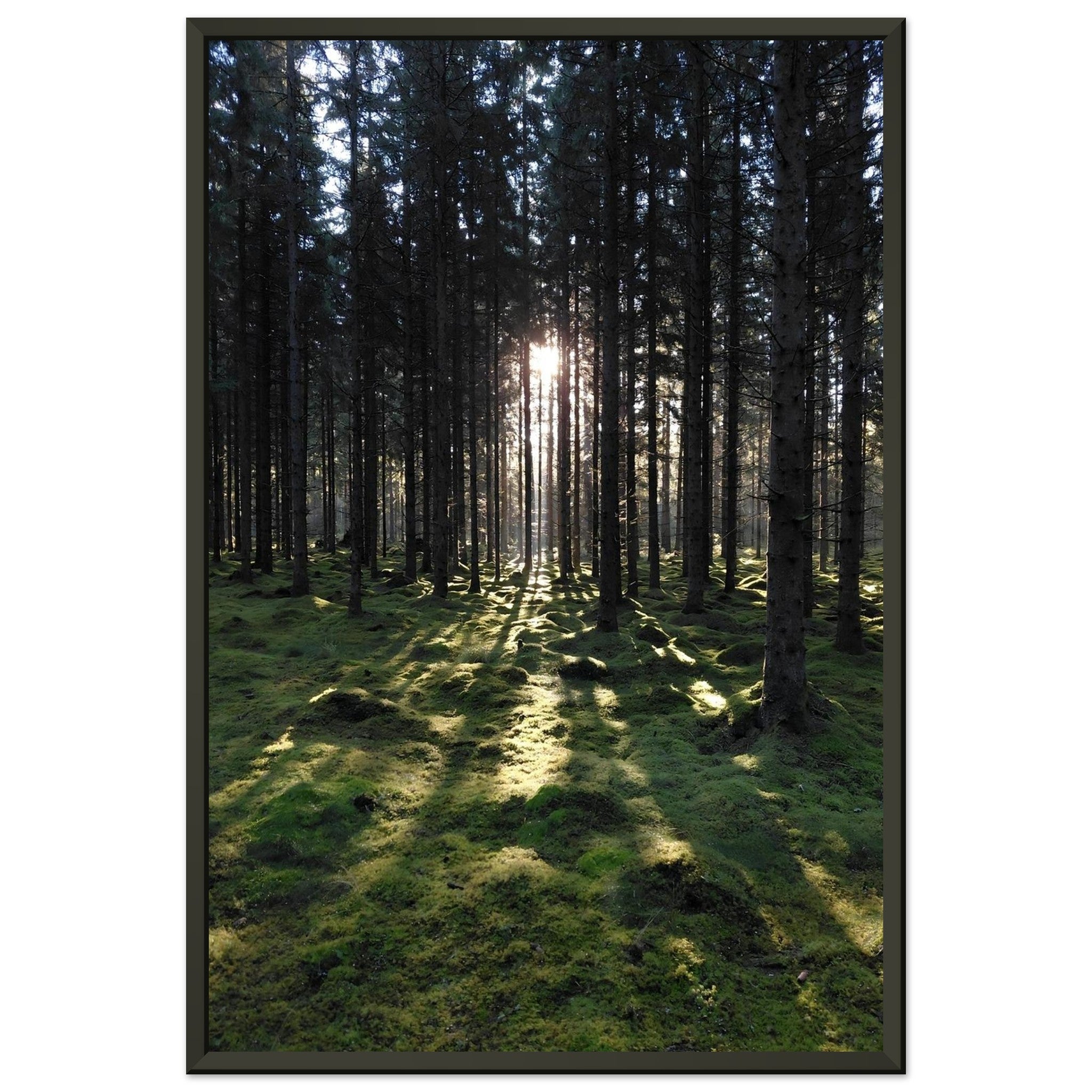 c3d2695c-214a-44dc-a444-6f8f12b03b9c