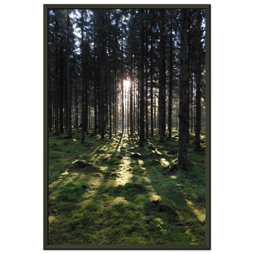 c3d2695c-214a-44dc-a444-6f8f12b03b9c