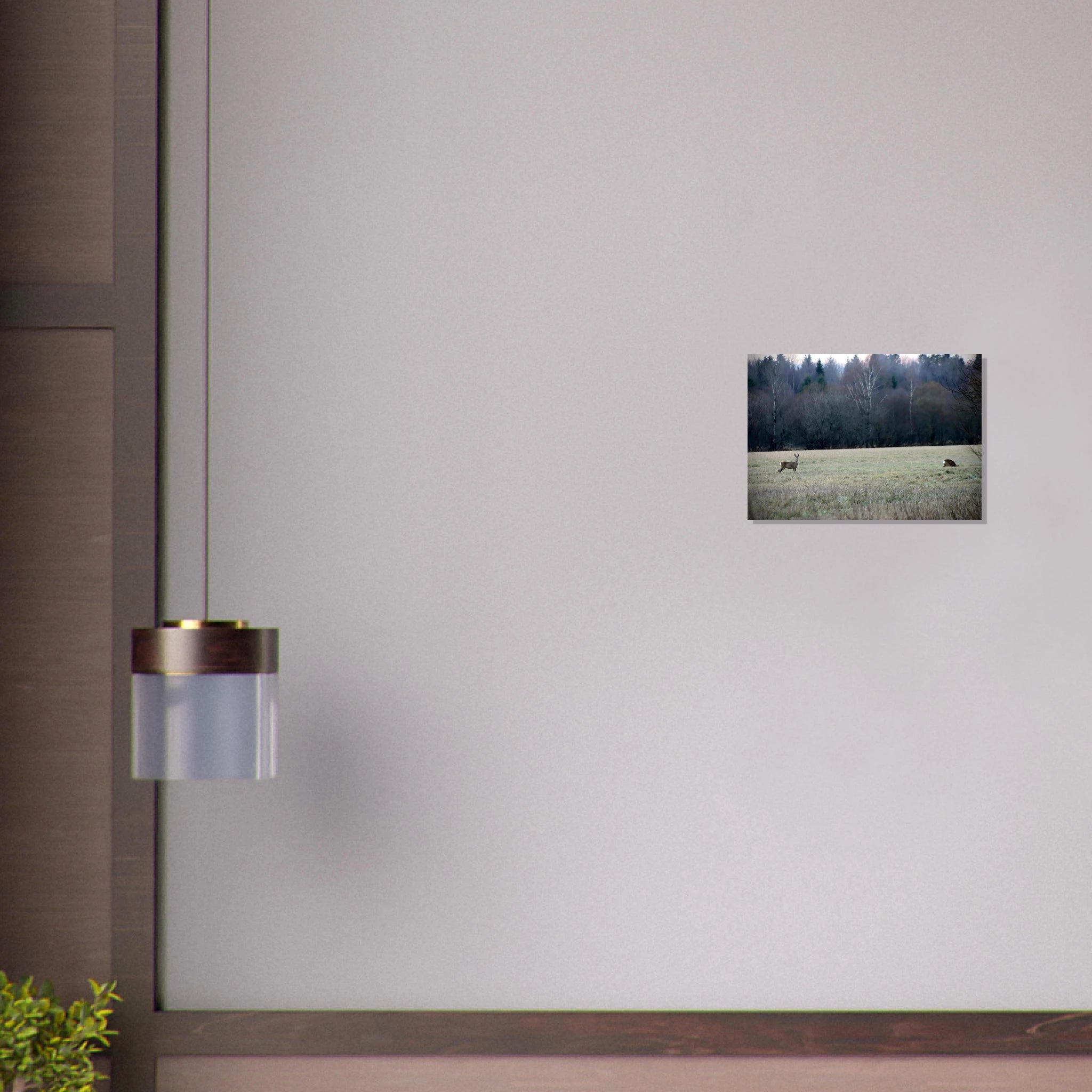 c74bb7ec-be43-4f87-abfe-2cdea875b79f