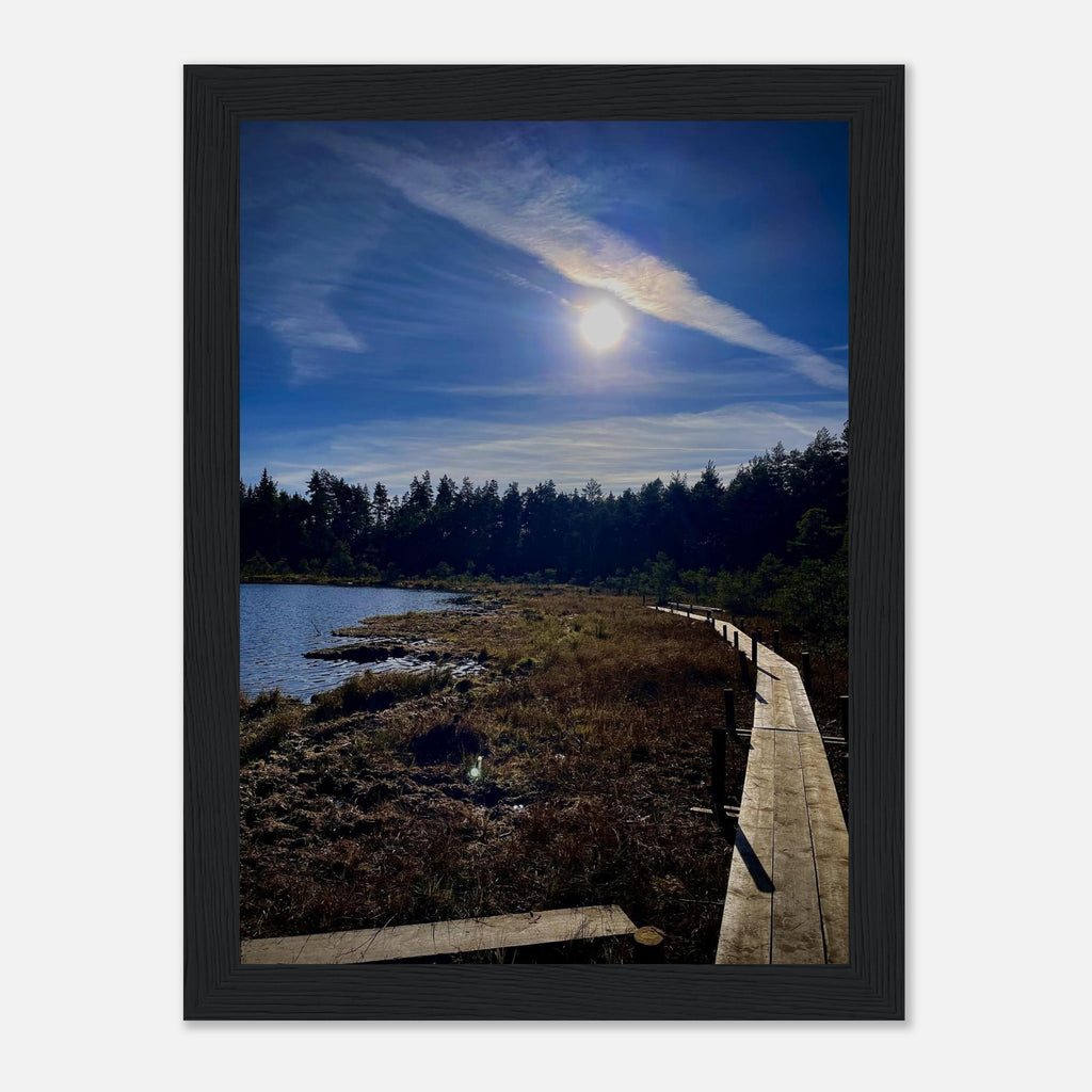 d2f03a56-2764-4e19-9028-f24fd42227da