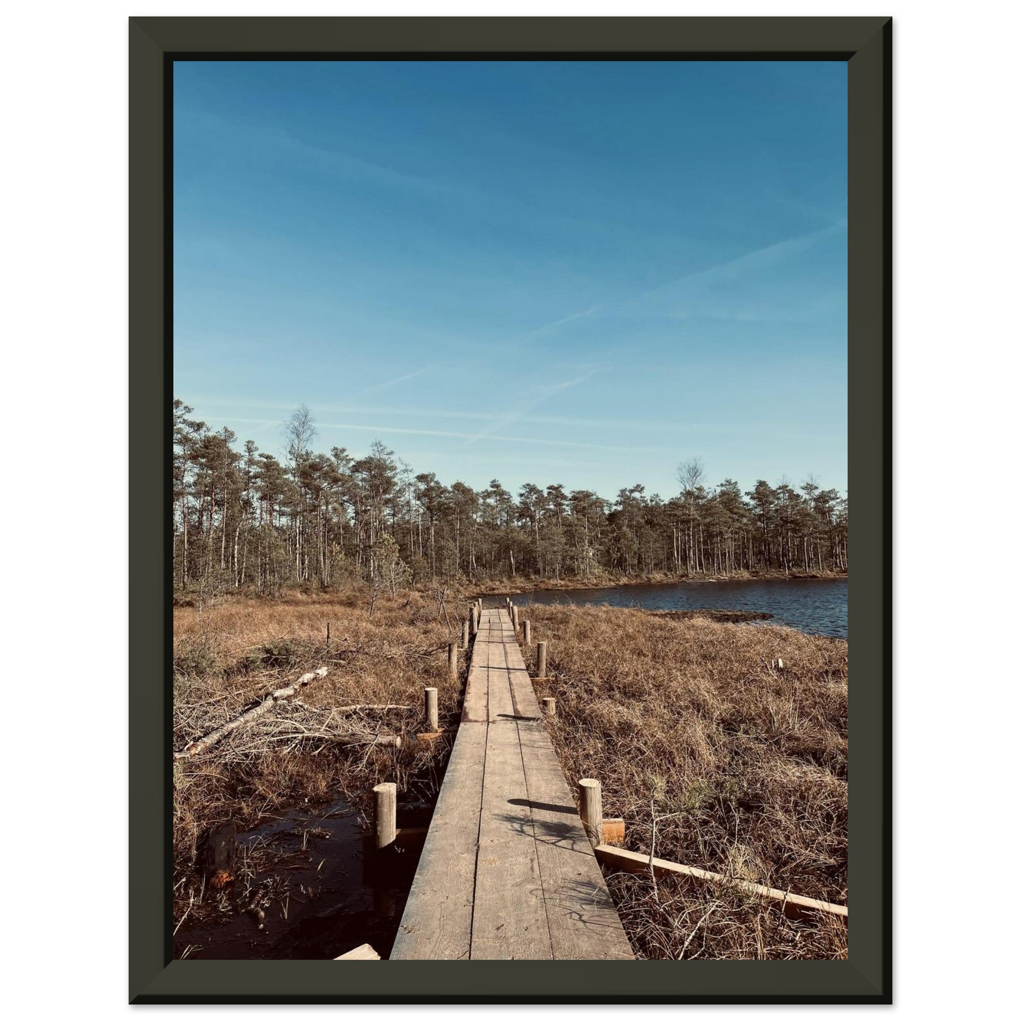 d3720618-3ac6-40e4-842a-b086d8a2b657