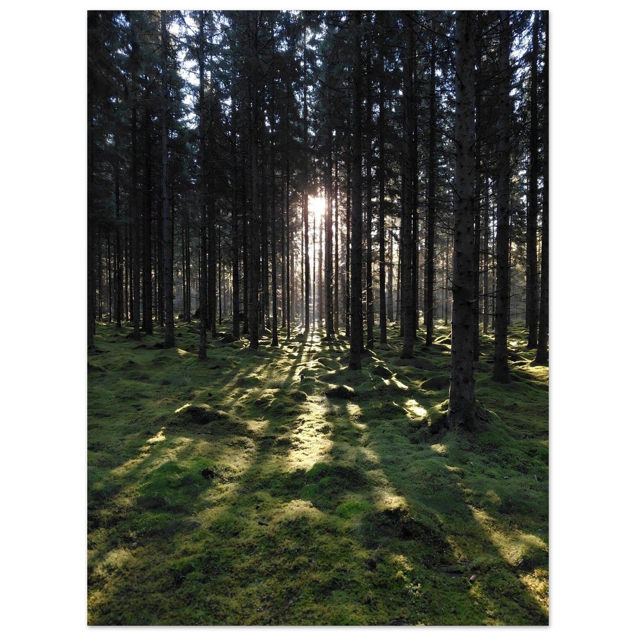 daf9de1b-9e35-4da8-bd8a-06a987c9315c