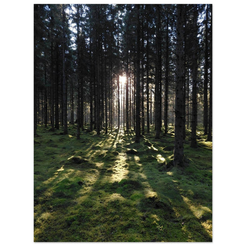 daf9de1b-9e35-4da8-bd8a-06a987c9315c