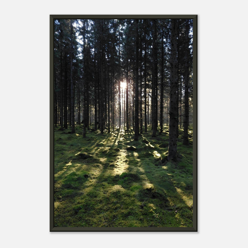 db06b33f-f3a2-404c-b3a3-07243eefa957