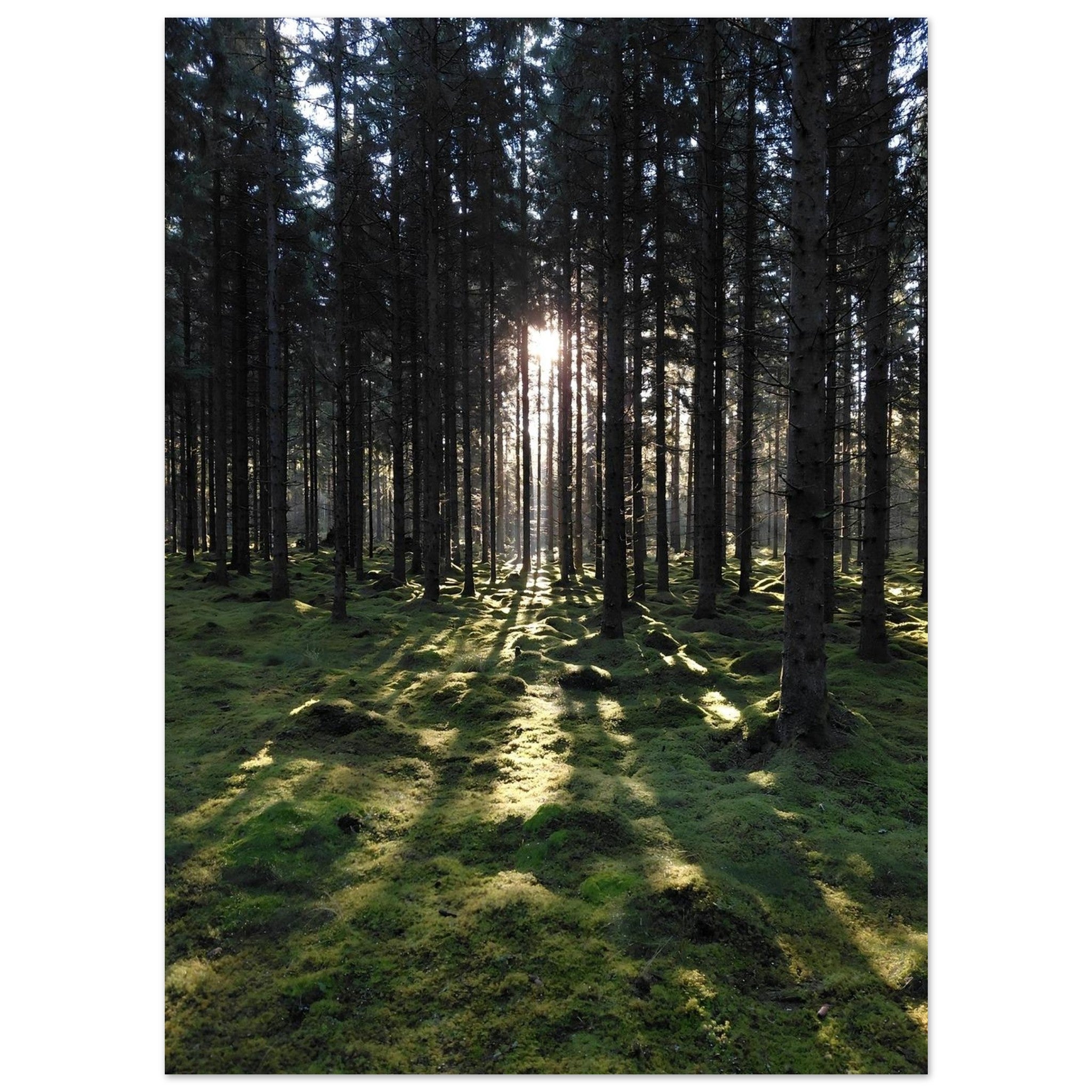 e76668f5-340a-4943-ae7f-94b475170223